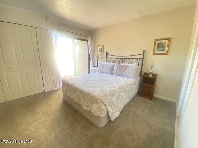 100530134 | Photo 38