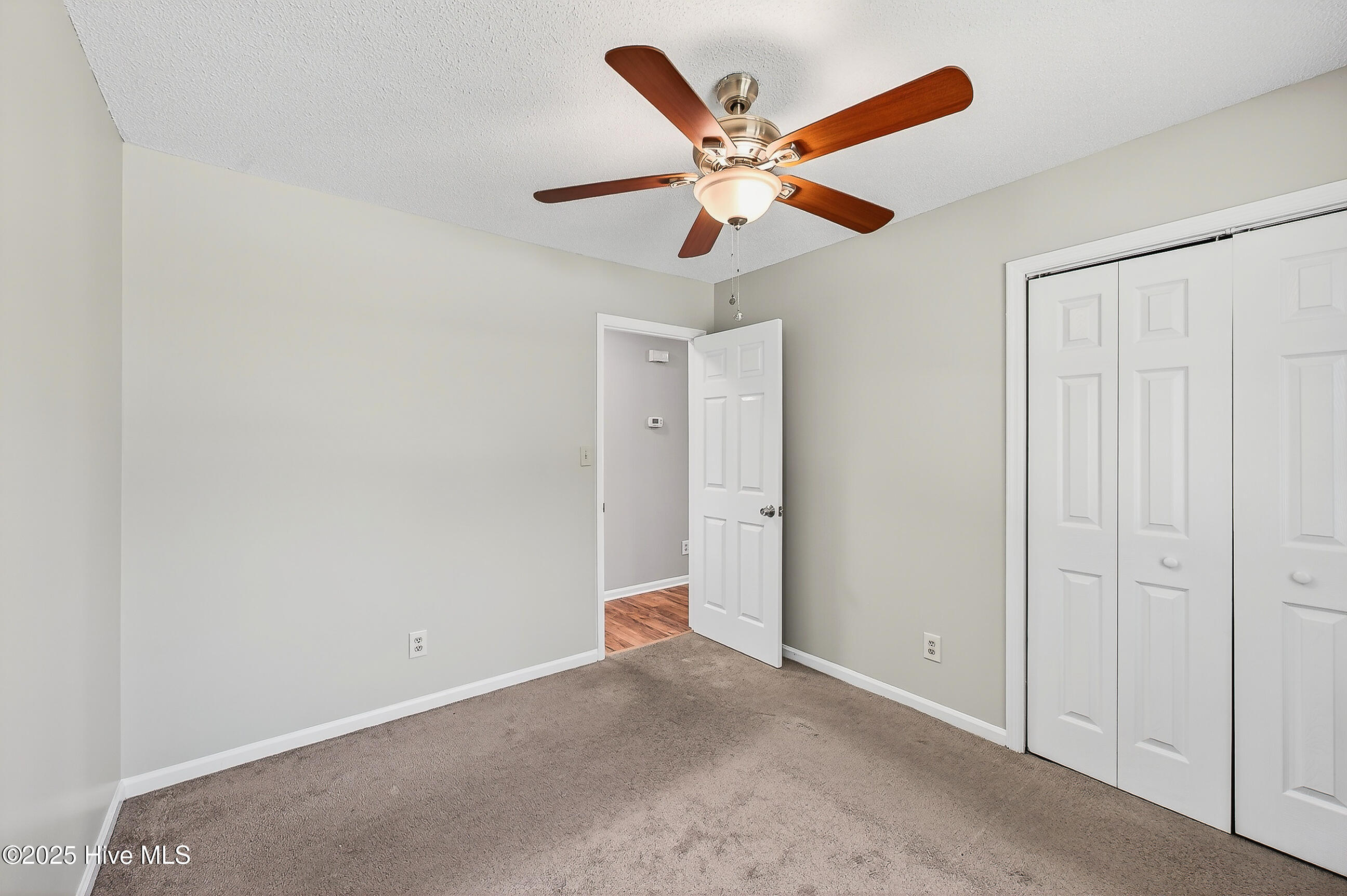 100540256 | Photo 15