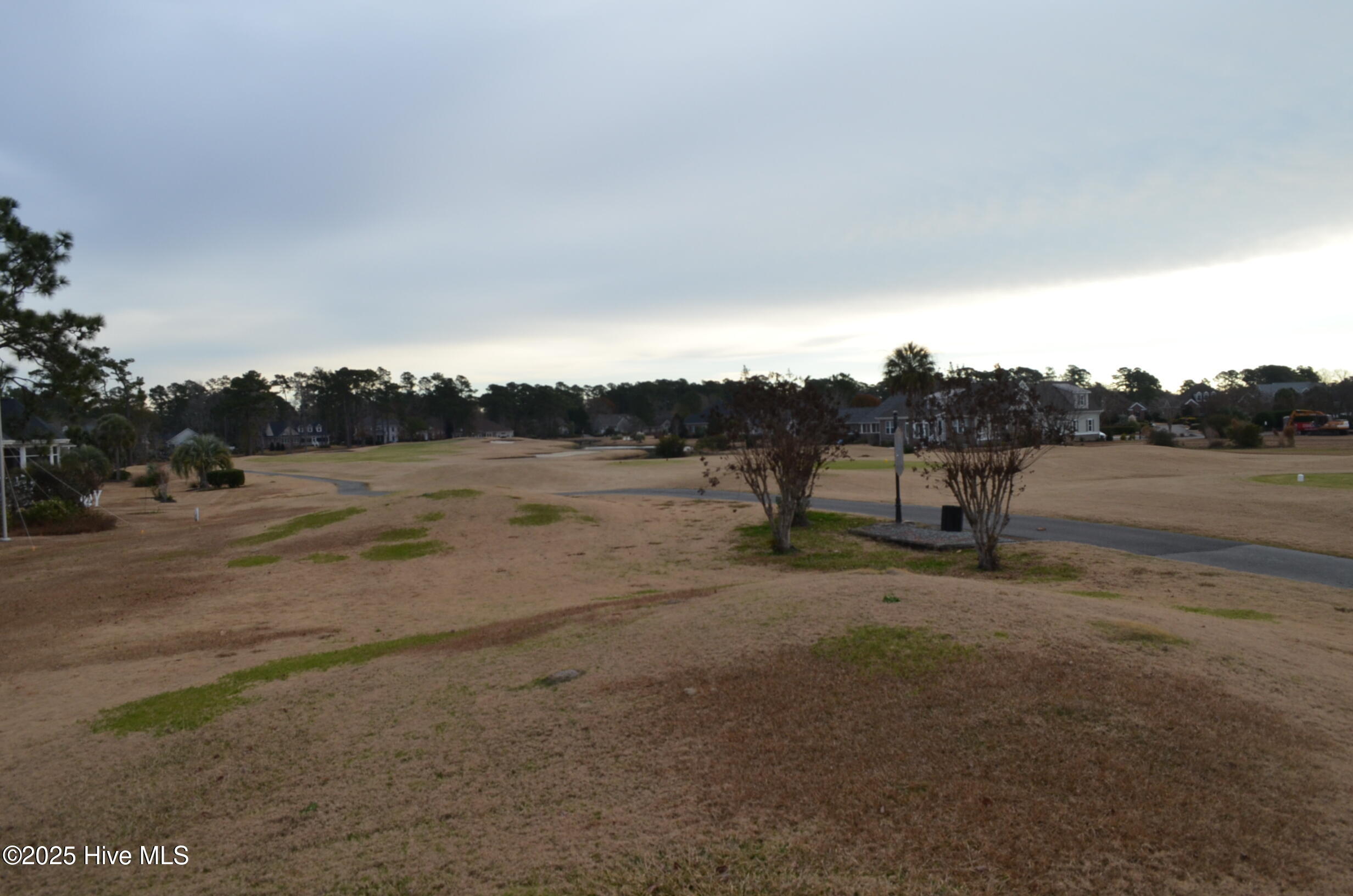 100545211 | Photo 52