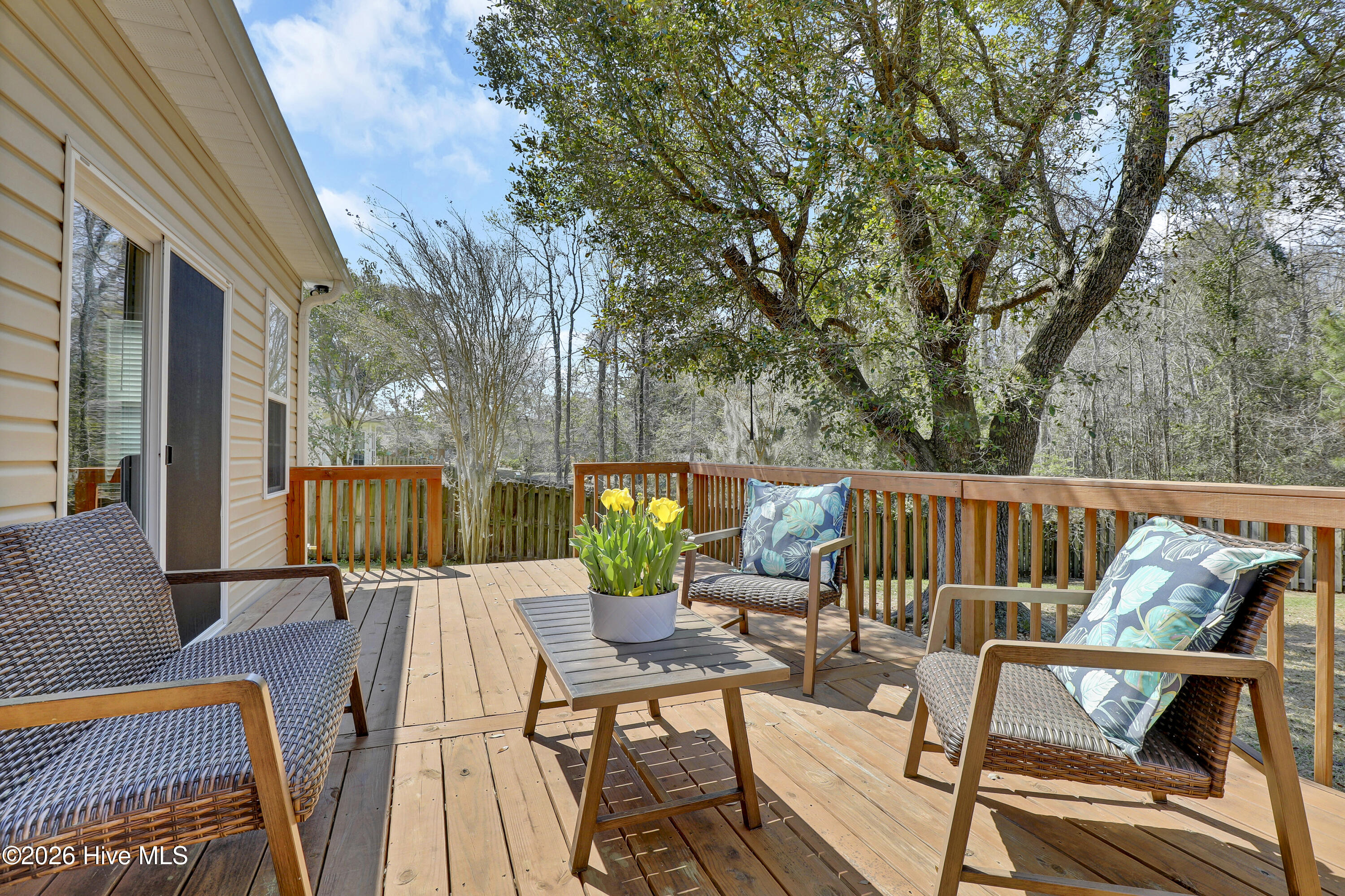 100556544 | Photo 24