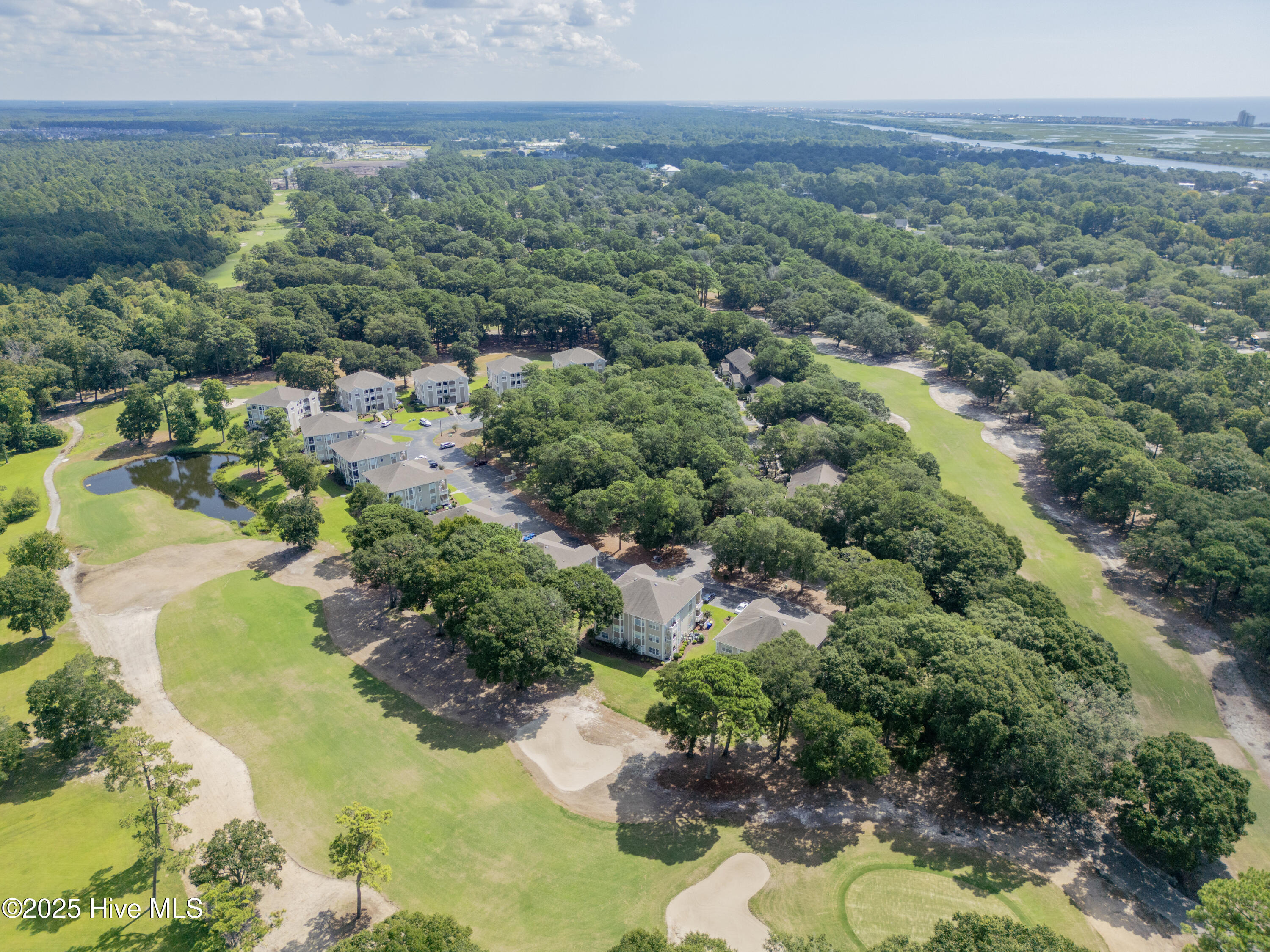 100527384 | Photo 38