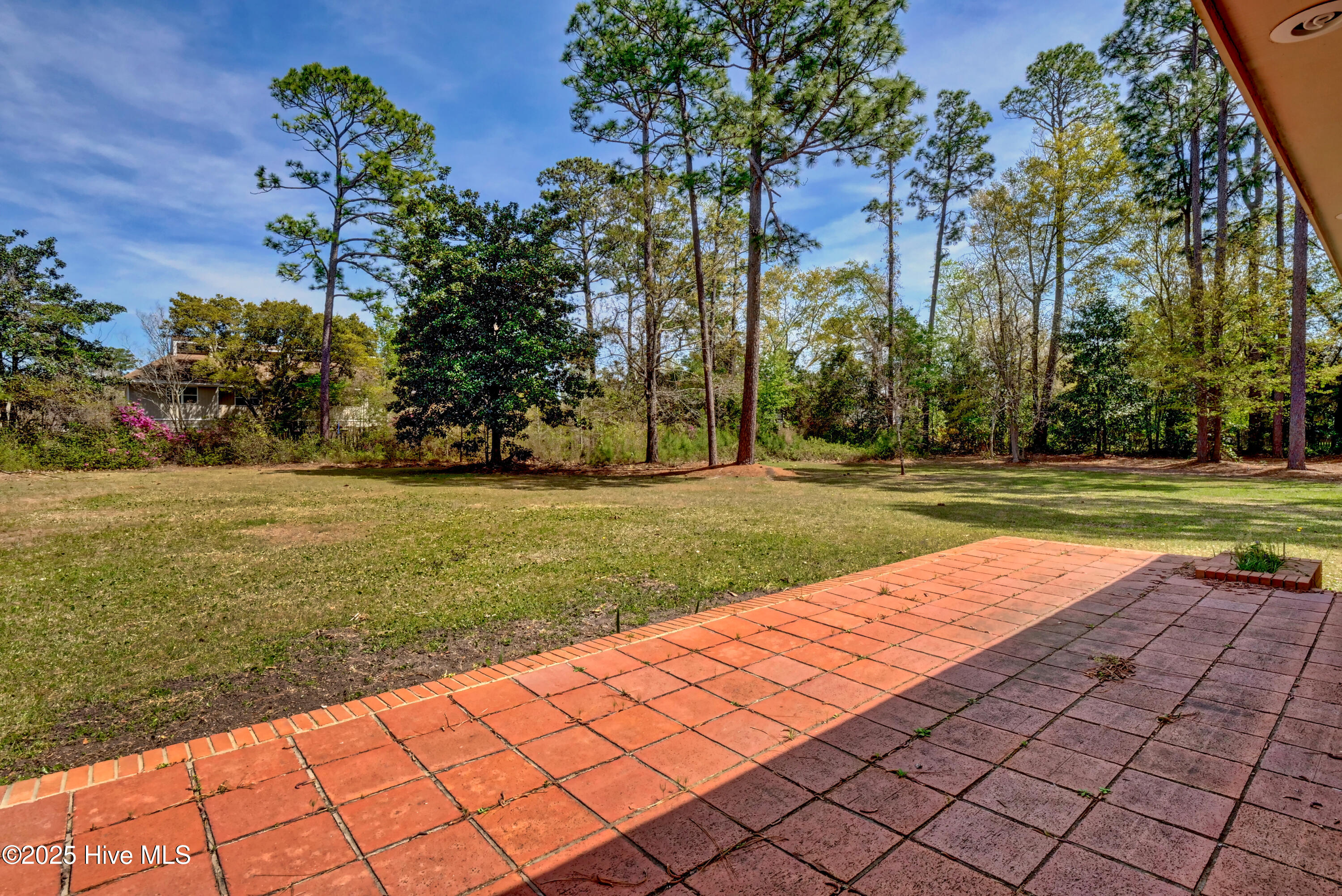 100536317 | Photo 31