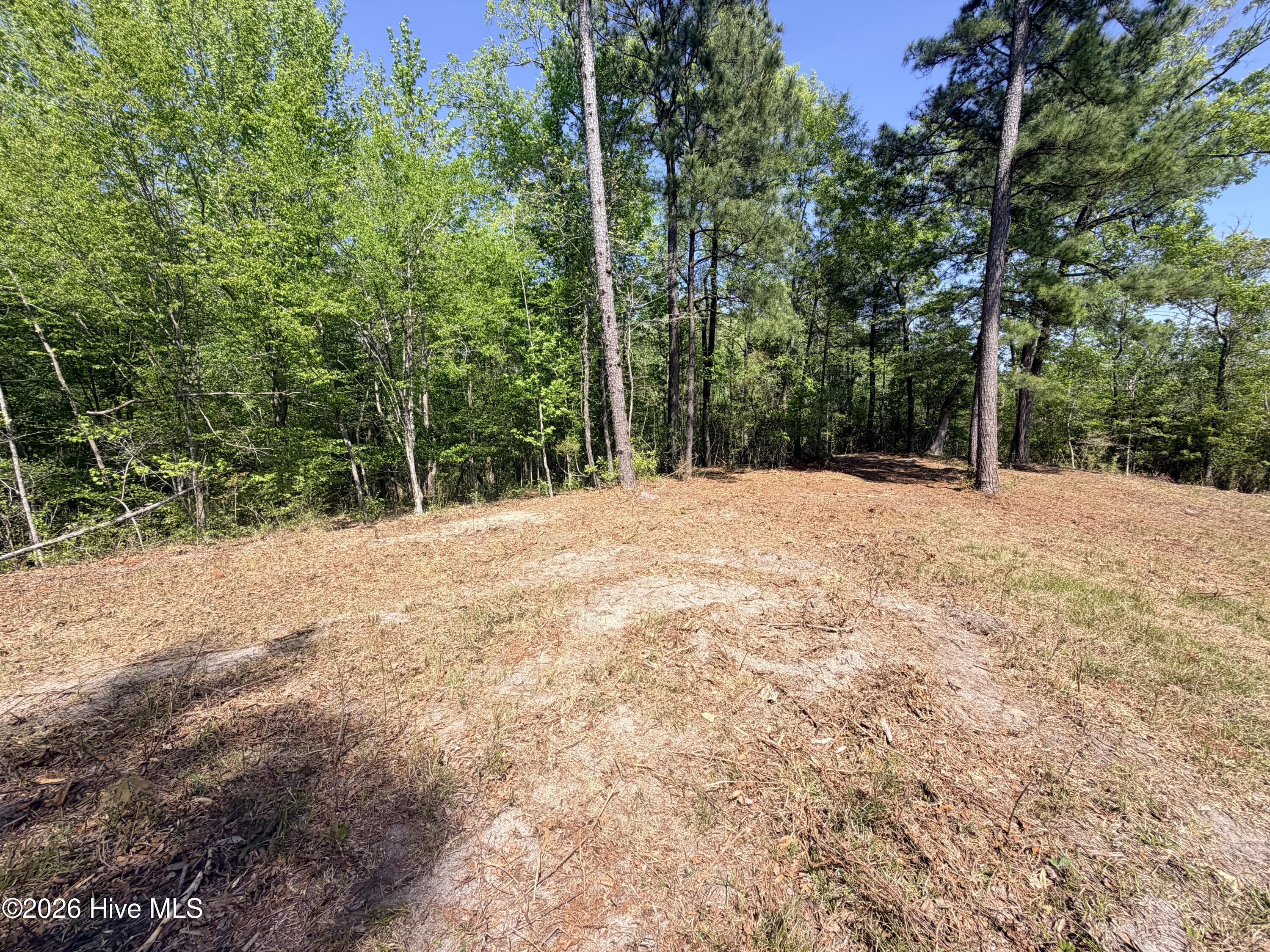 100568145 | Photo 22