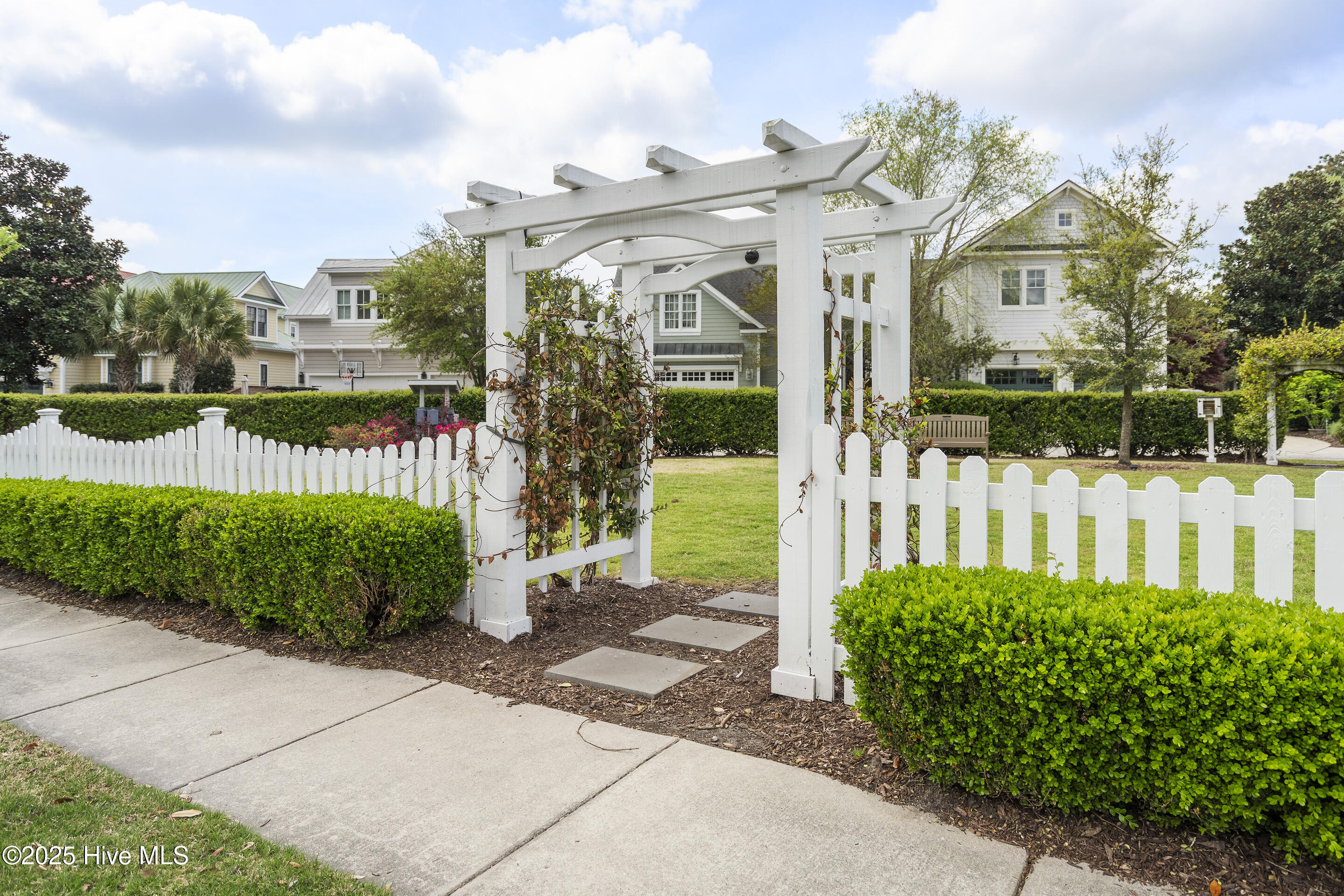 100537551 | Photo 80