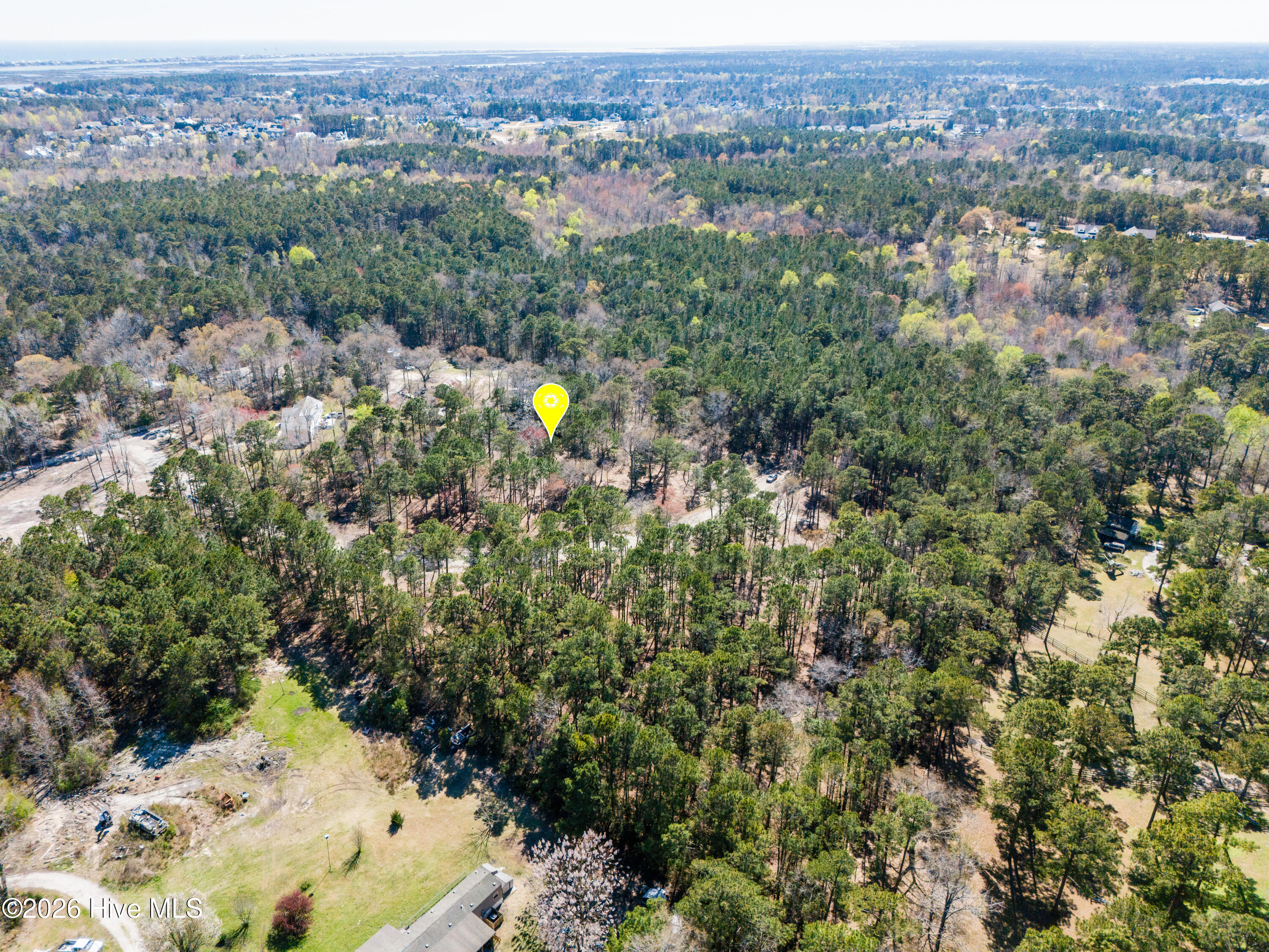 100574351 | Photo 7