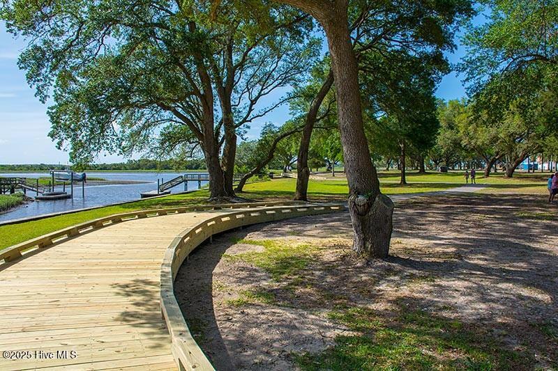 100529602 | Photo 96