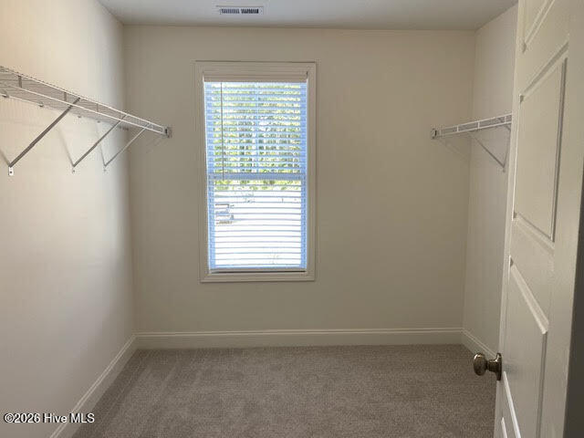 100567488 | Photo 15