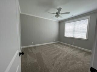 4319 Sabal