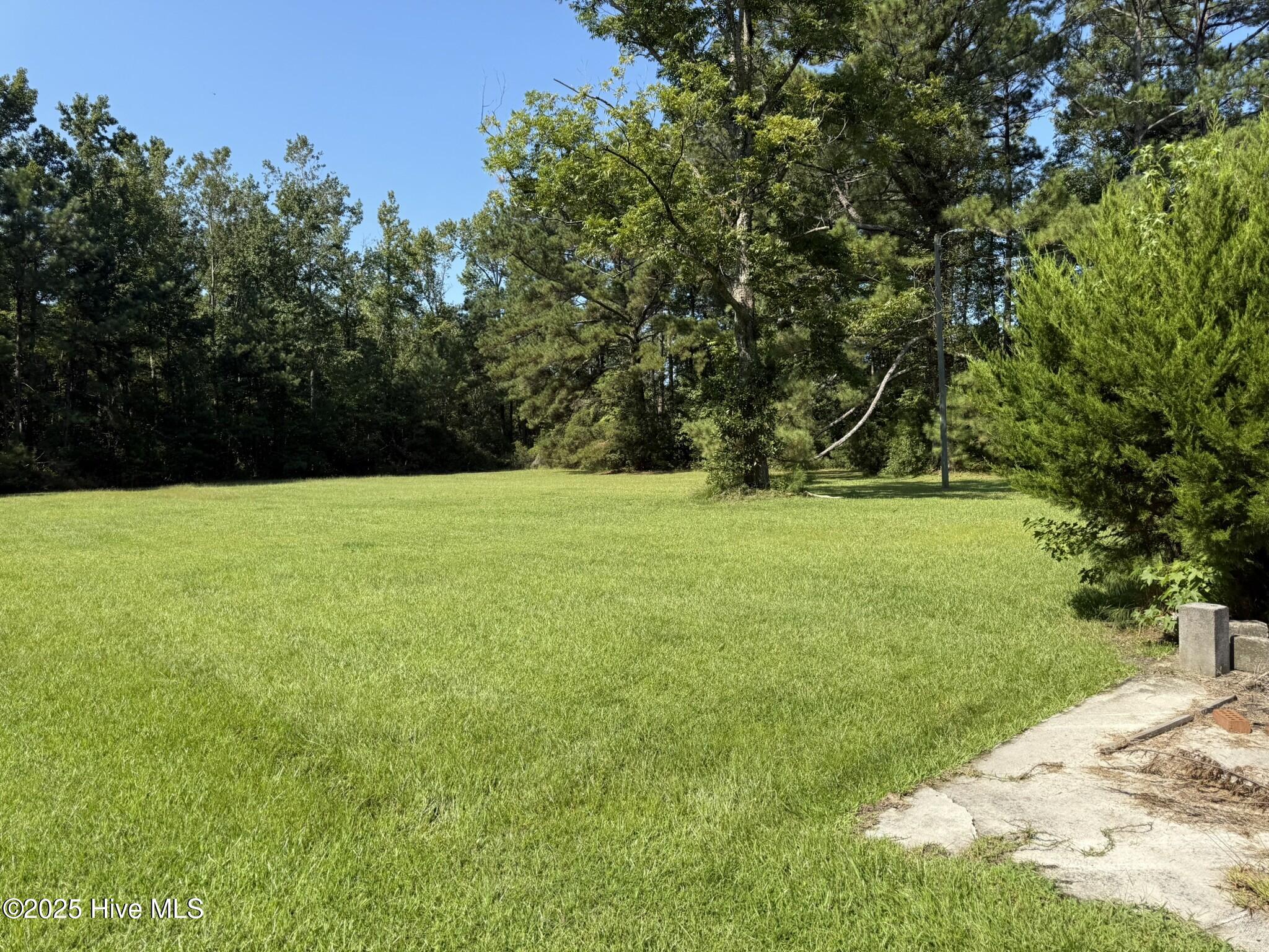 100528151 | Photo 16