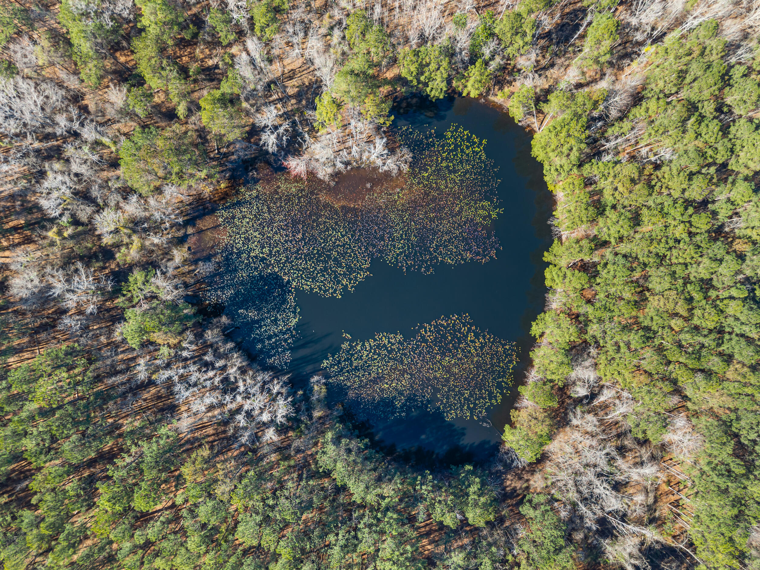 Homes for sale in Cobbtown, GA | 22701 Hwy 129, Cobbtown, GA 30420 | MLS# 552538