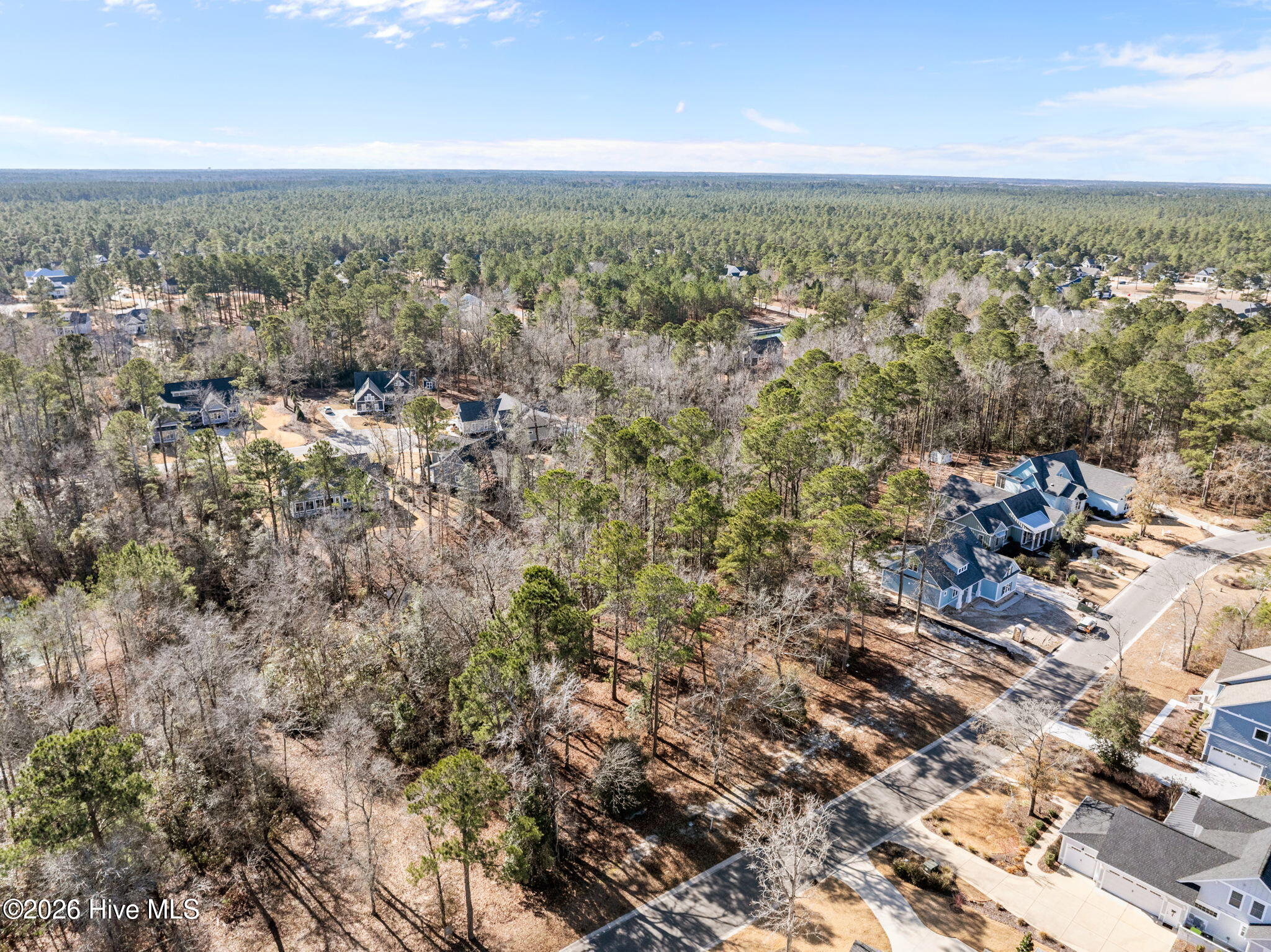 100547475 | Photo 19