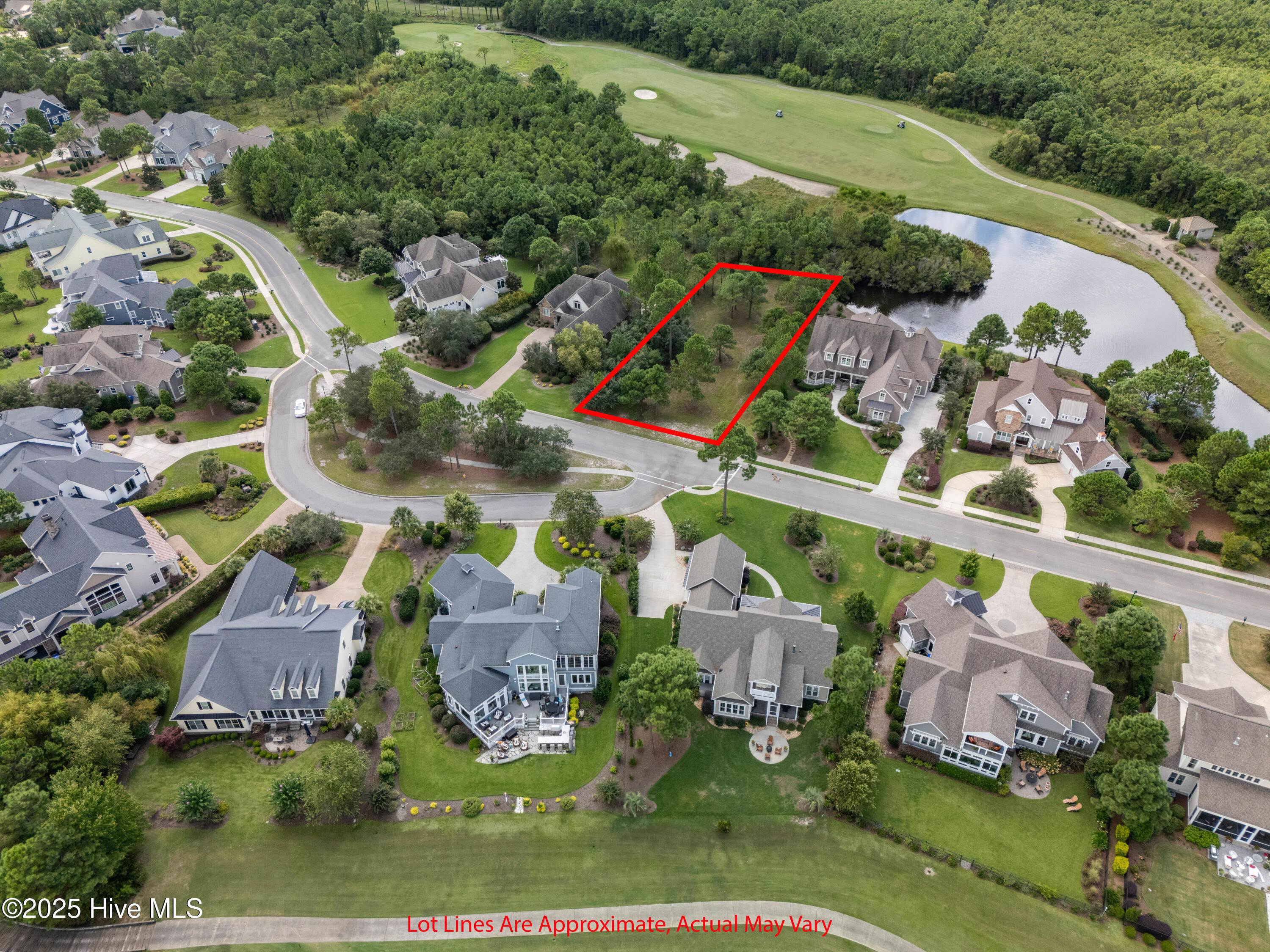 100569790 | Photo 12