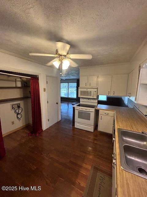 100531539 | Photo 19