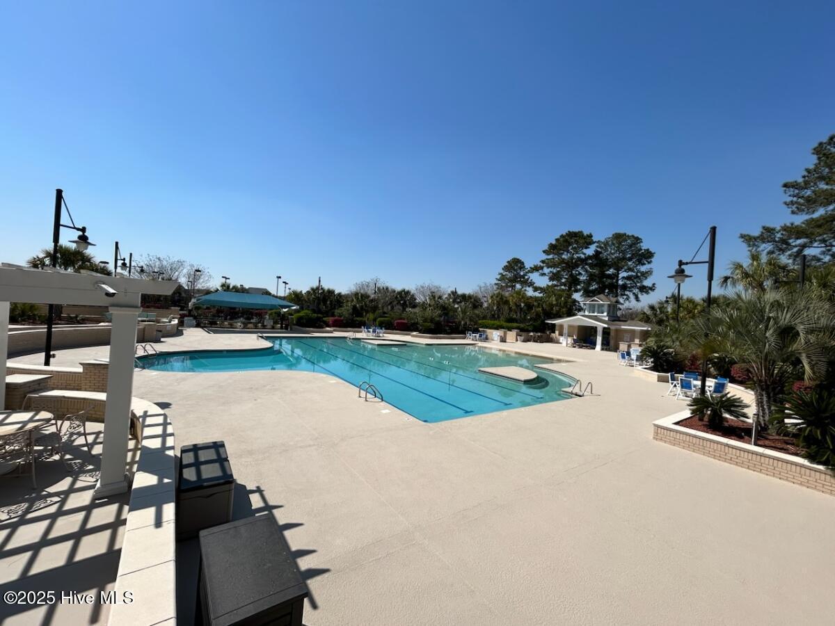 100539941 | Photo 46