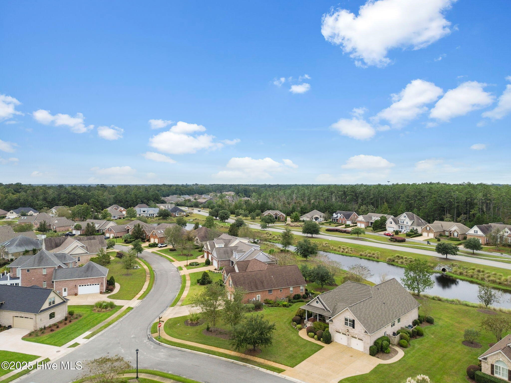 100536688 | Photo 59