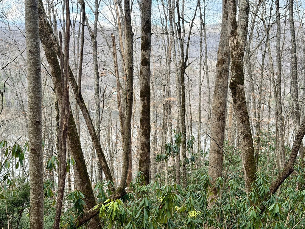Homes for sale in Nantahala, NC | Lot# 38 Nantahala Shores Rd, Nantahala, NC 28781 | MLS# 98500049