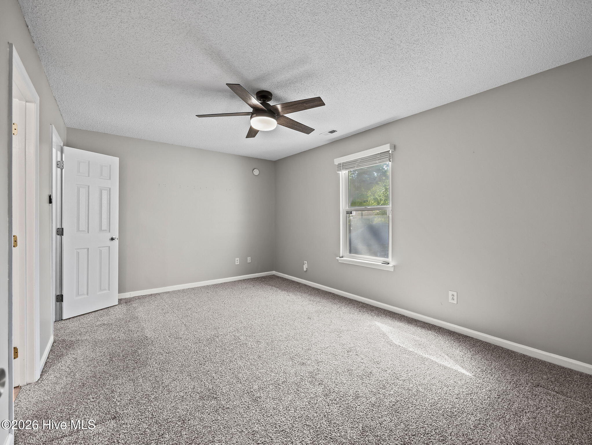 100569012 | Photo 16