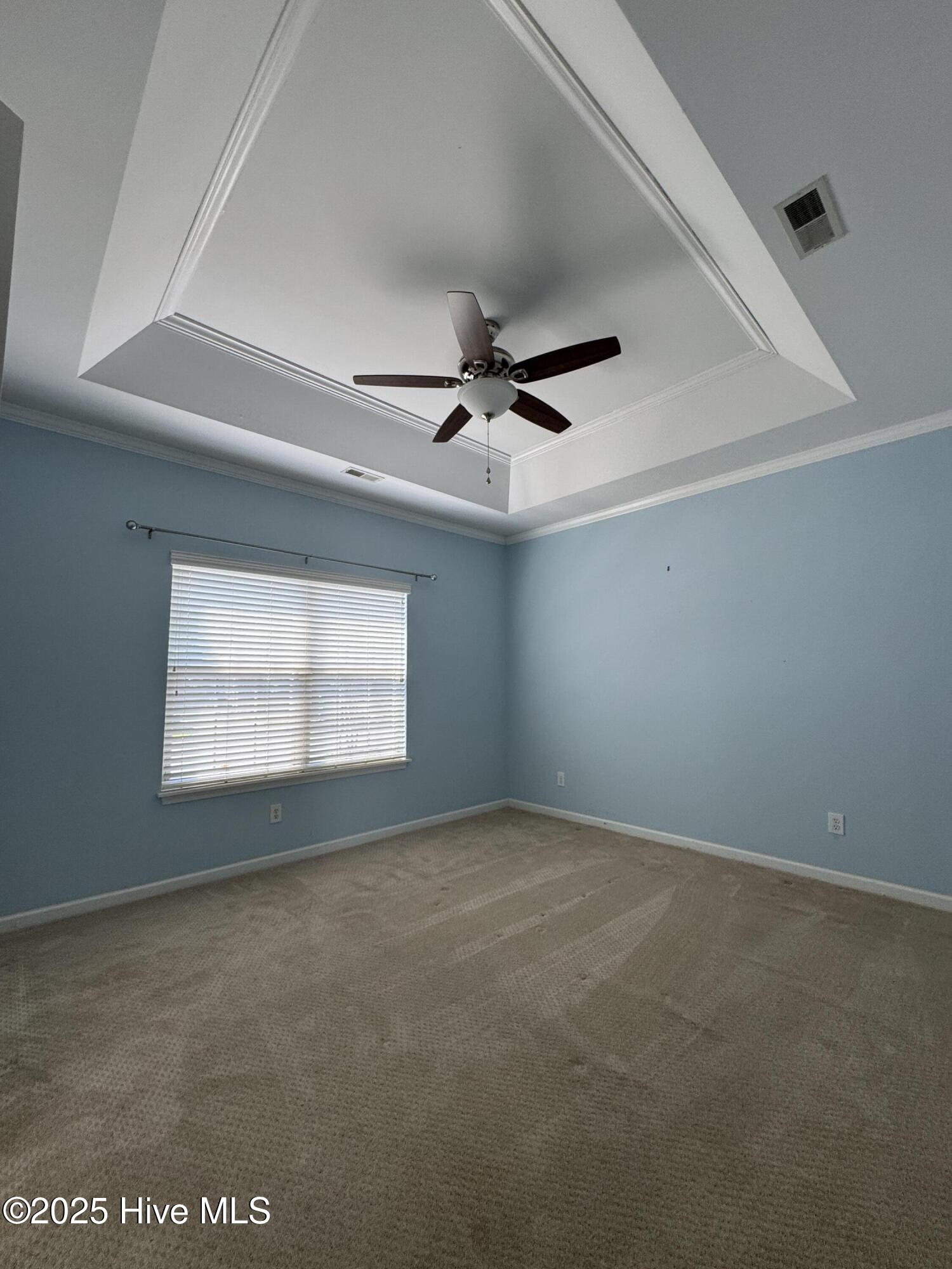 100532583 | Photo 15