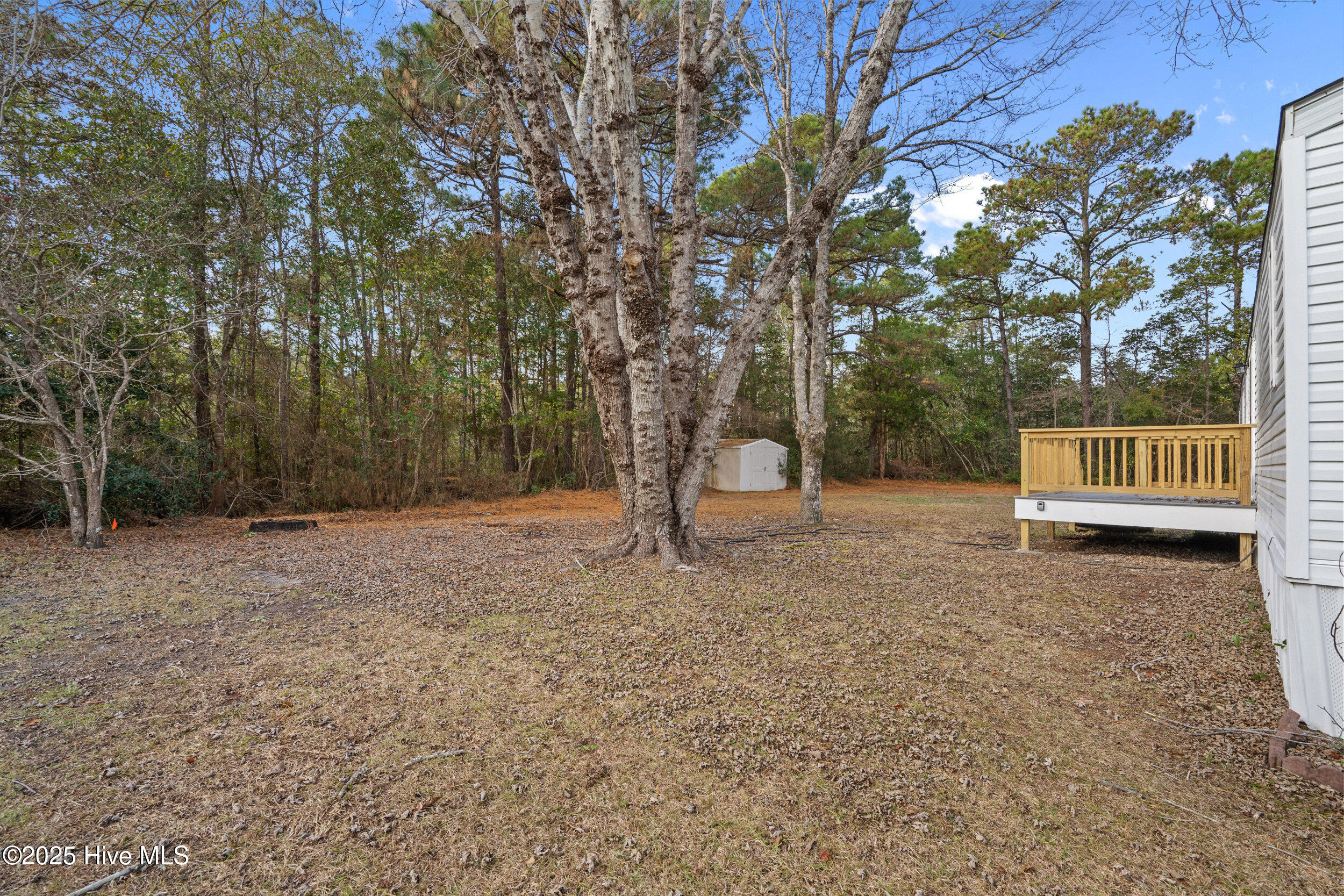 100544386 | Photo 28