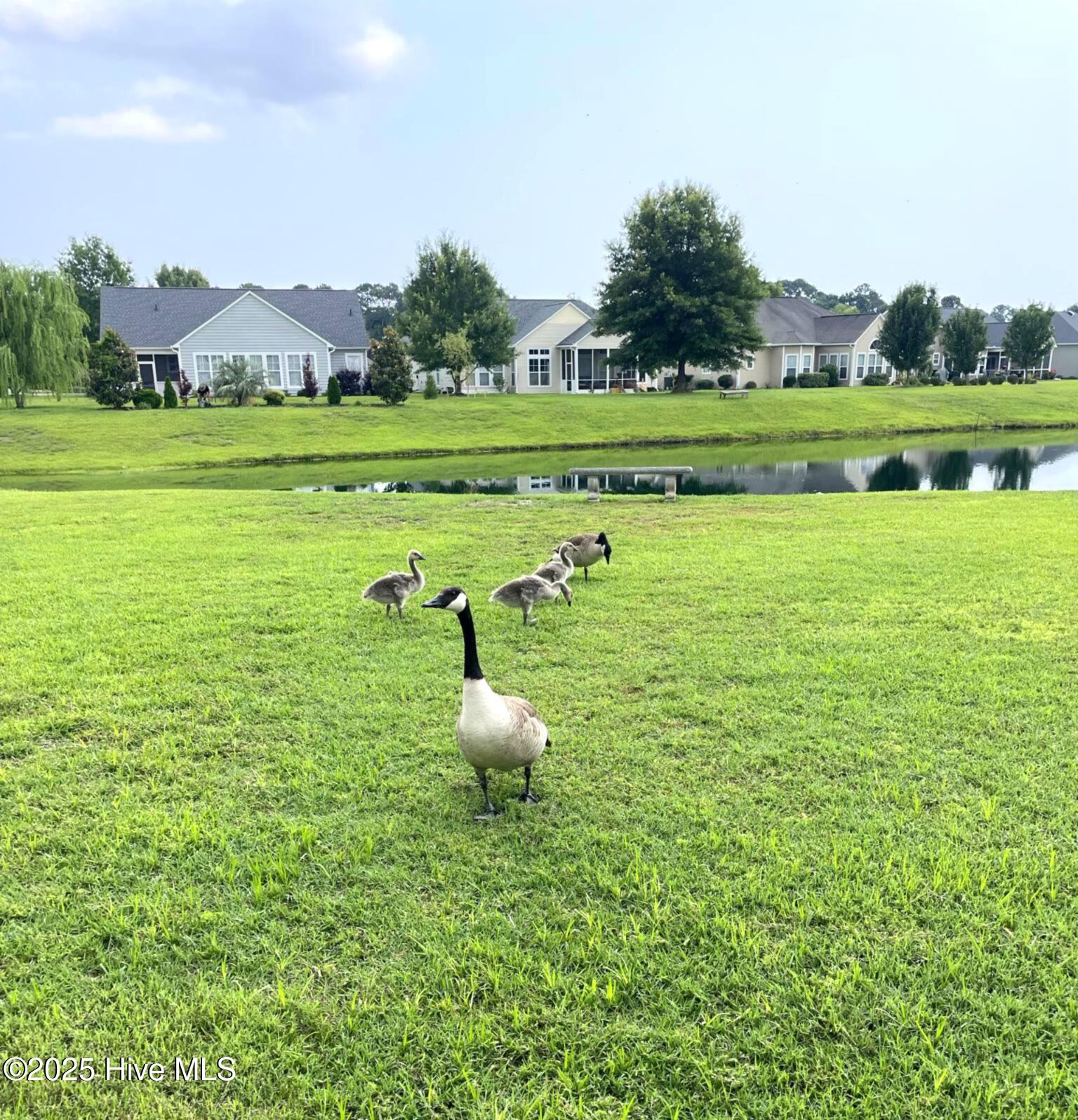 100534104 | Photo 25