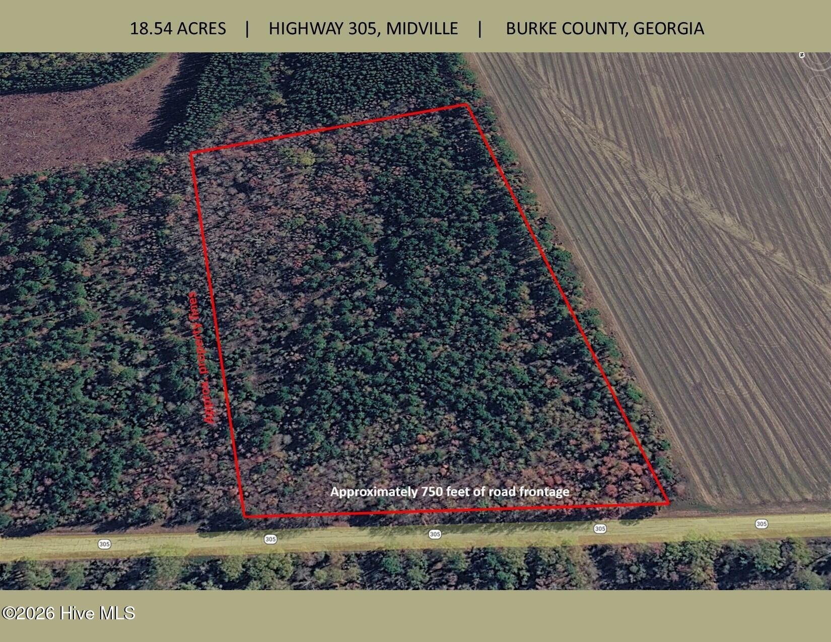 Homes for sale in Midville, GA | 00 Georgia 305, Midville, GA 30441 | MLS# 100574814