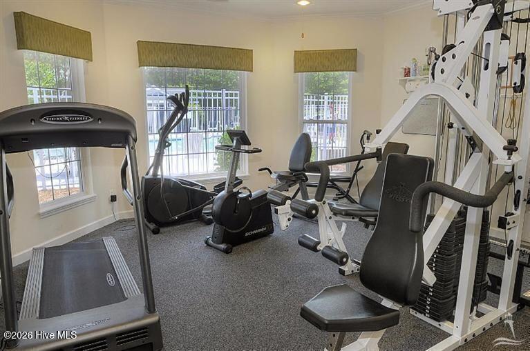 100553520 | Photo 43