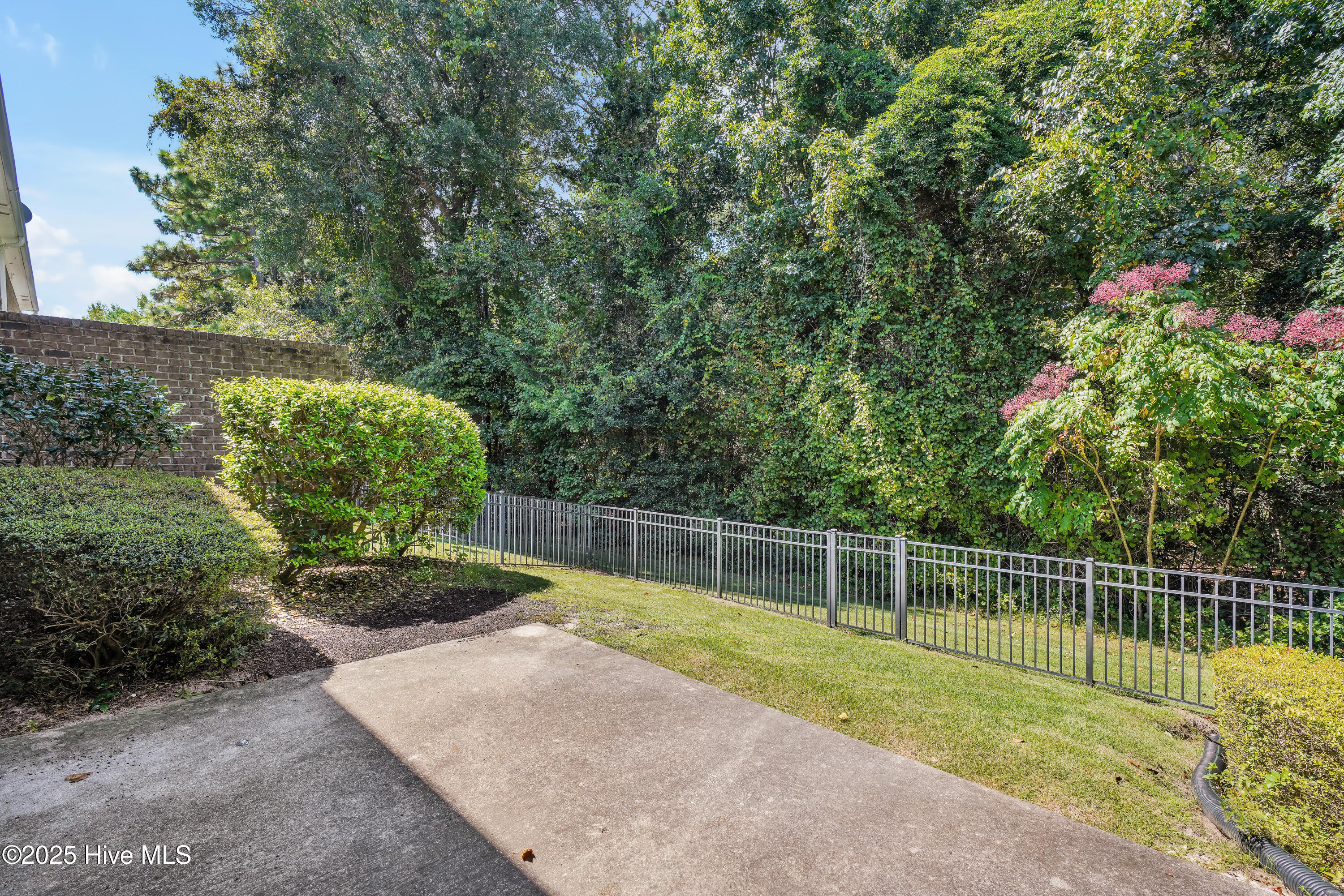 100531017 | Photo 33