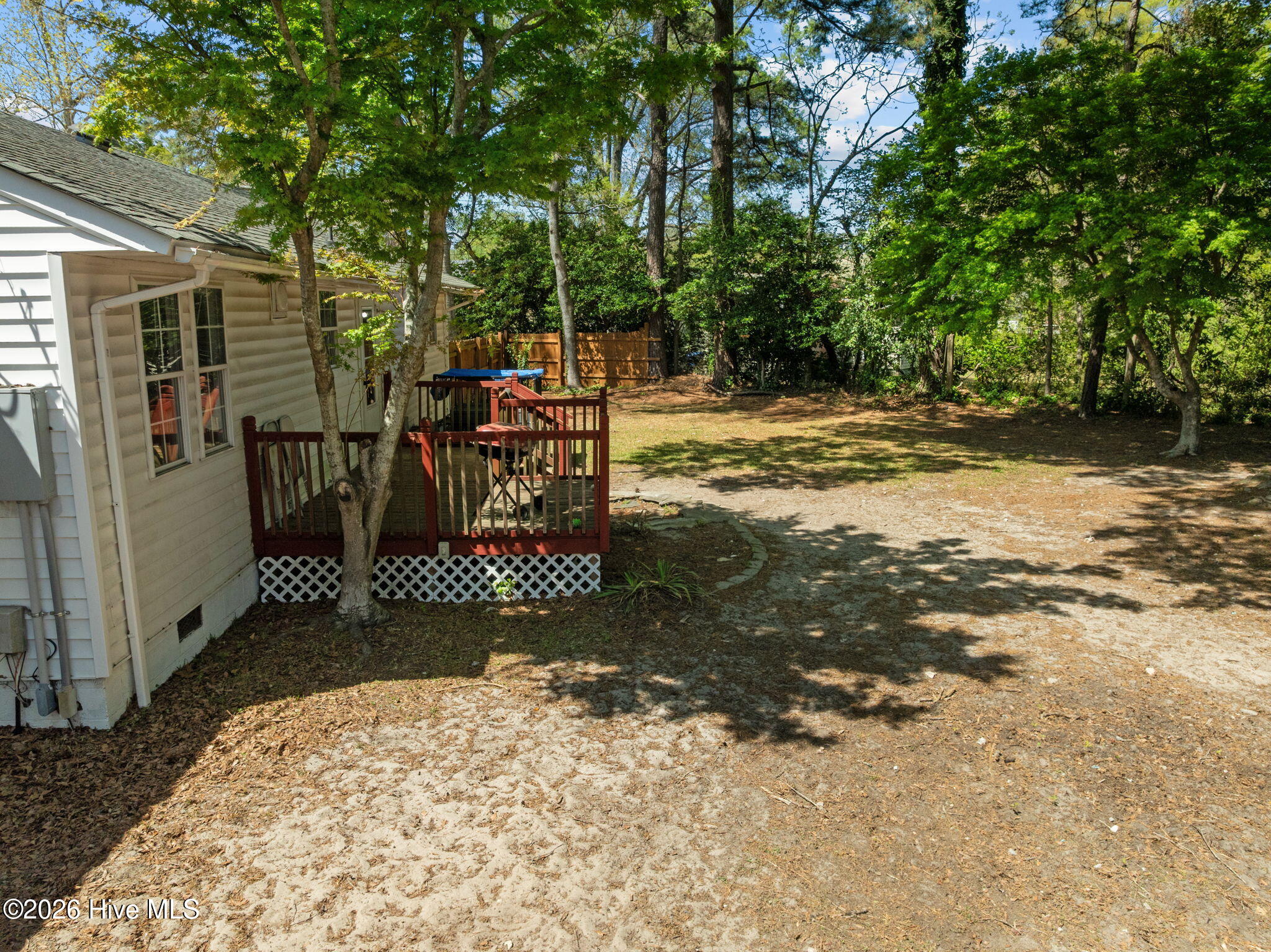 100562753 | Photo 50