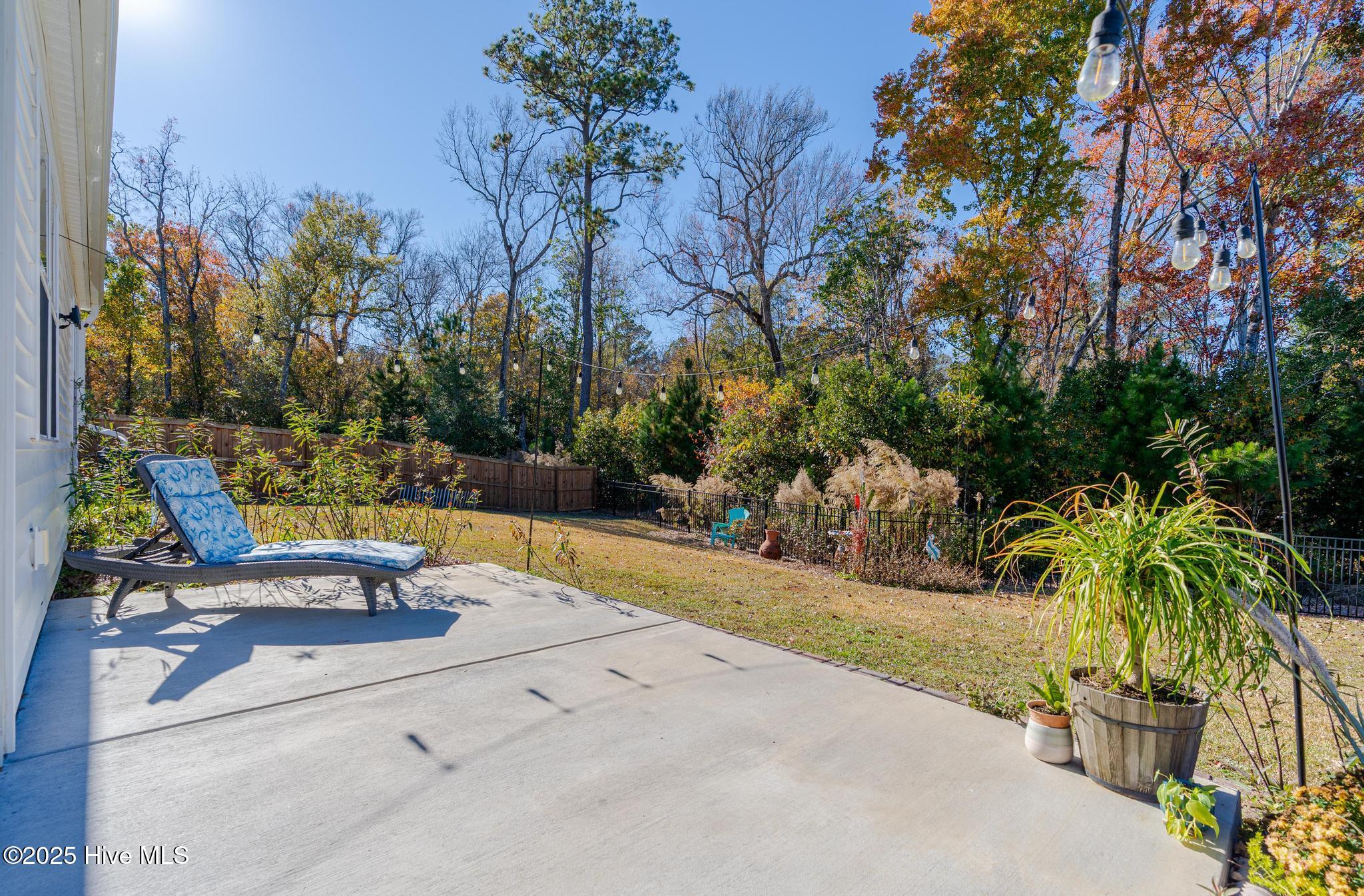 100542071 | Photo 25