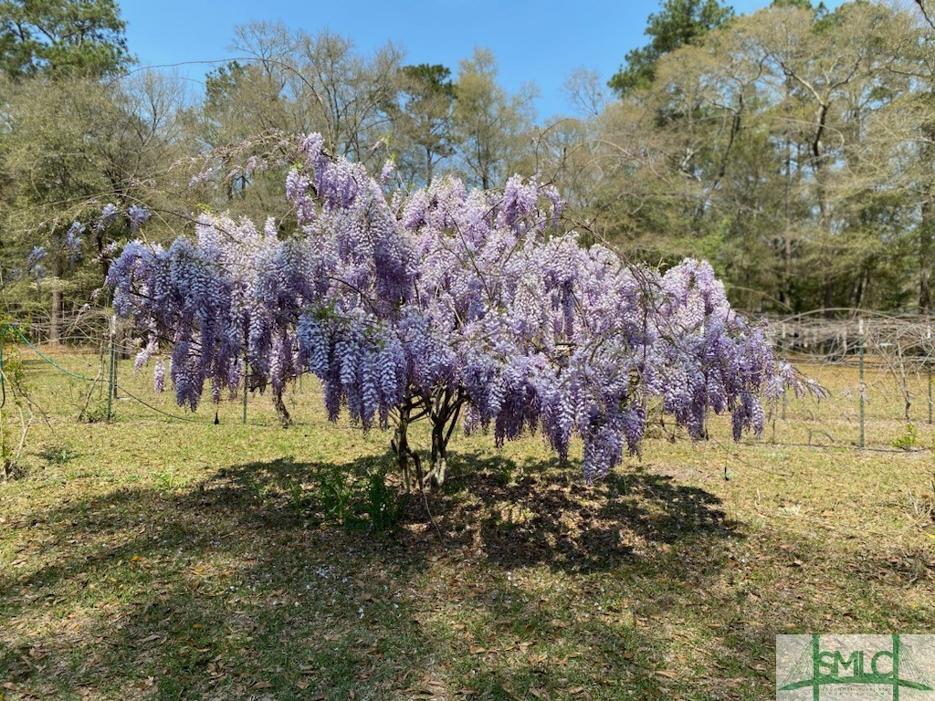 1165 Chimney Road, Rincon, GA, 31326