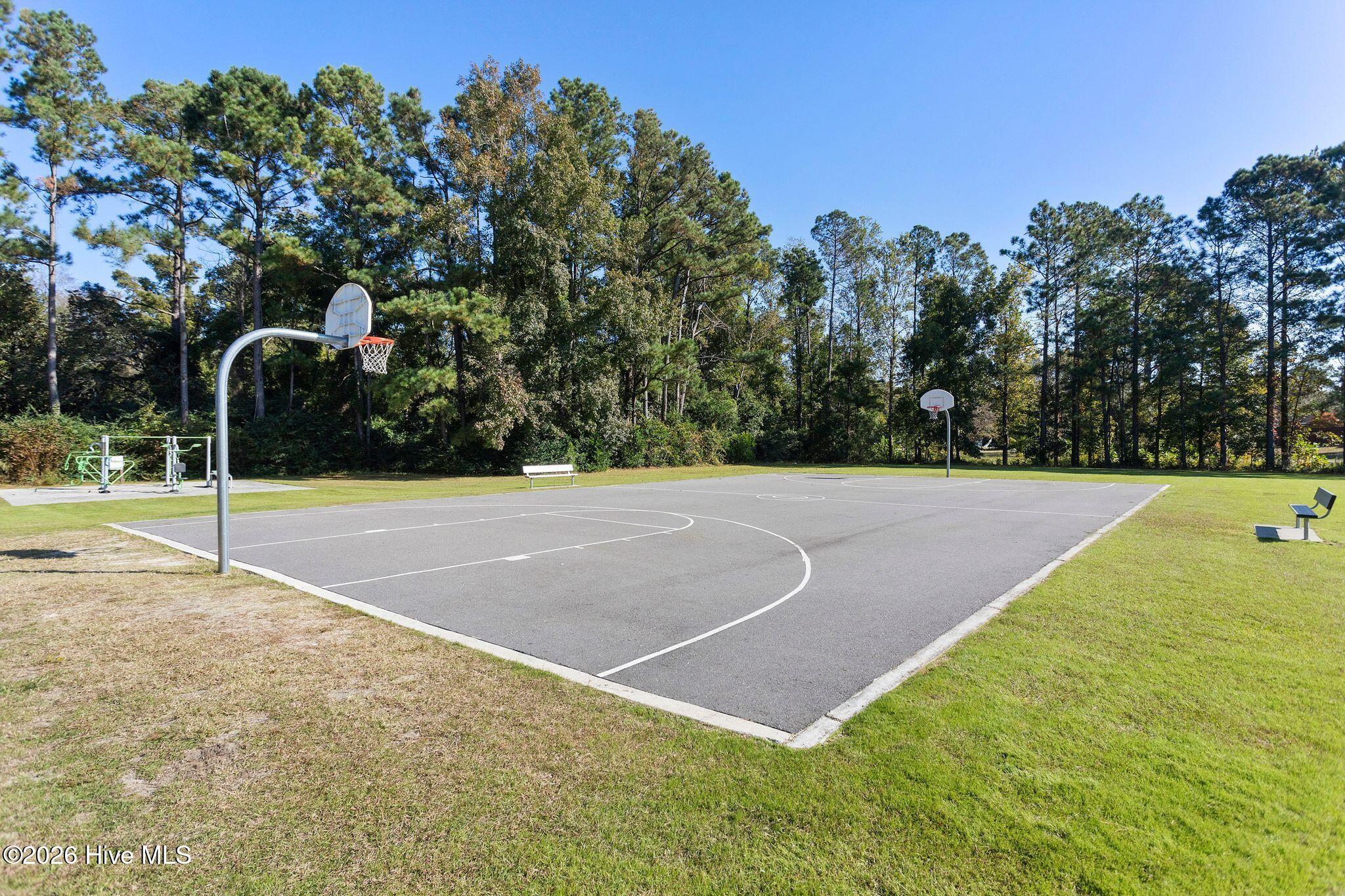 100564209 | Photo 40