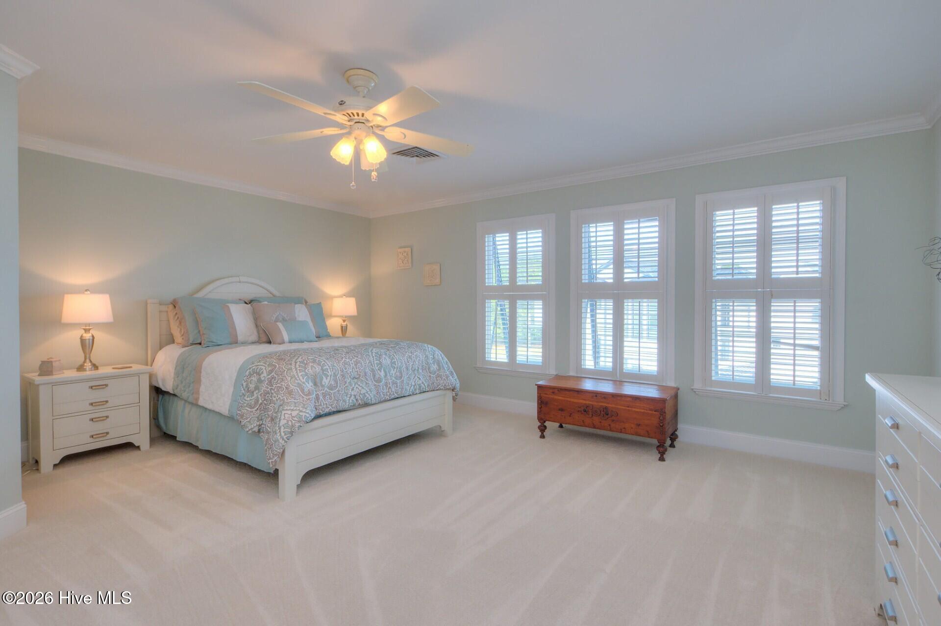 100553459 | Photo 67