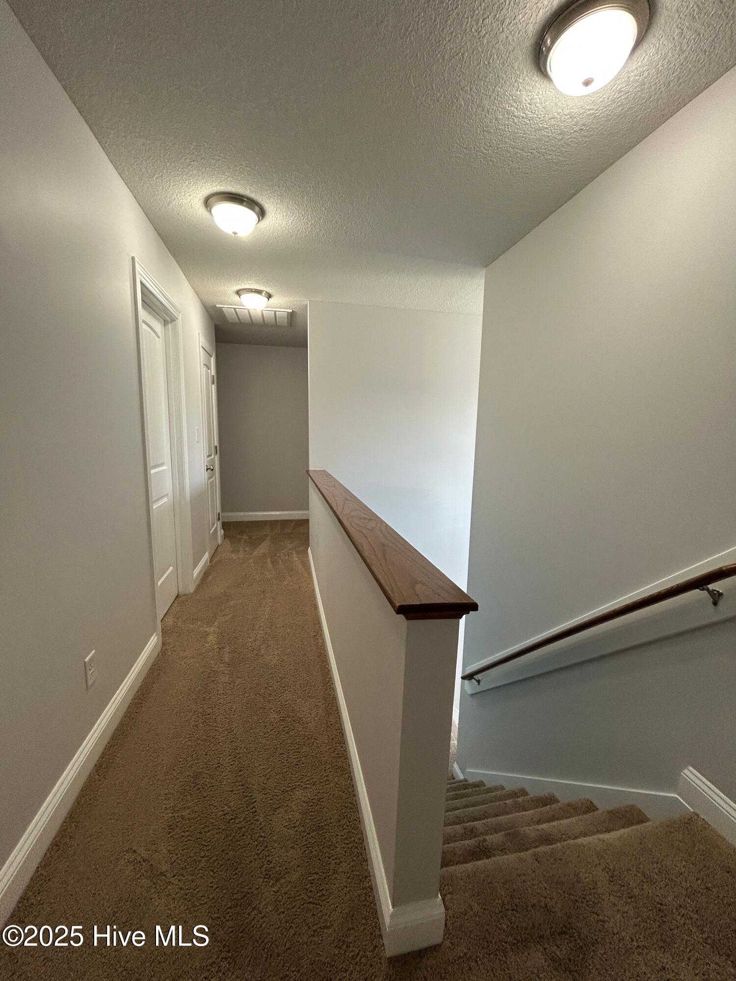 100528484 | Photo 34