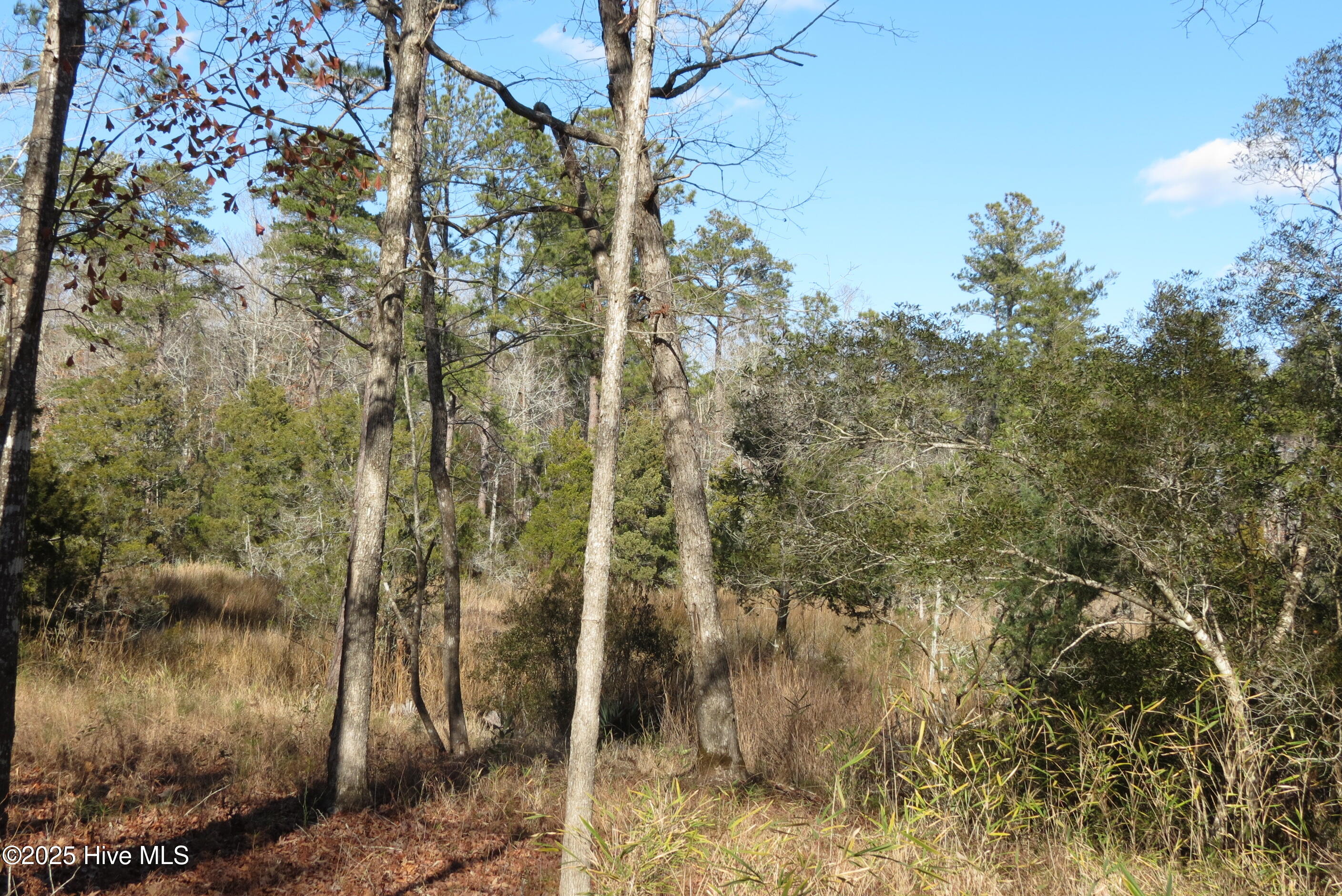 109 Winding Creek Drive, Oriental, NC, 28571