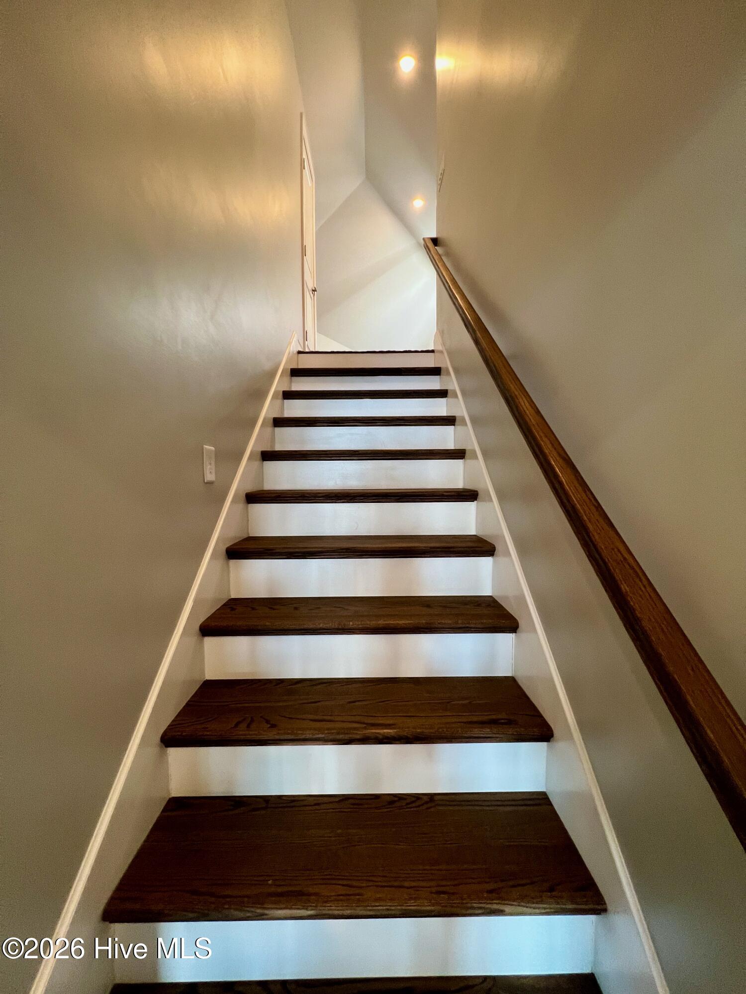 100549571 | Photo 58