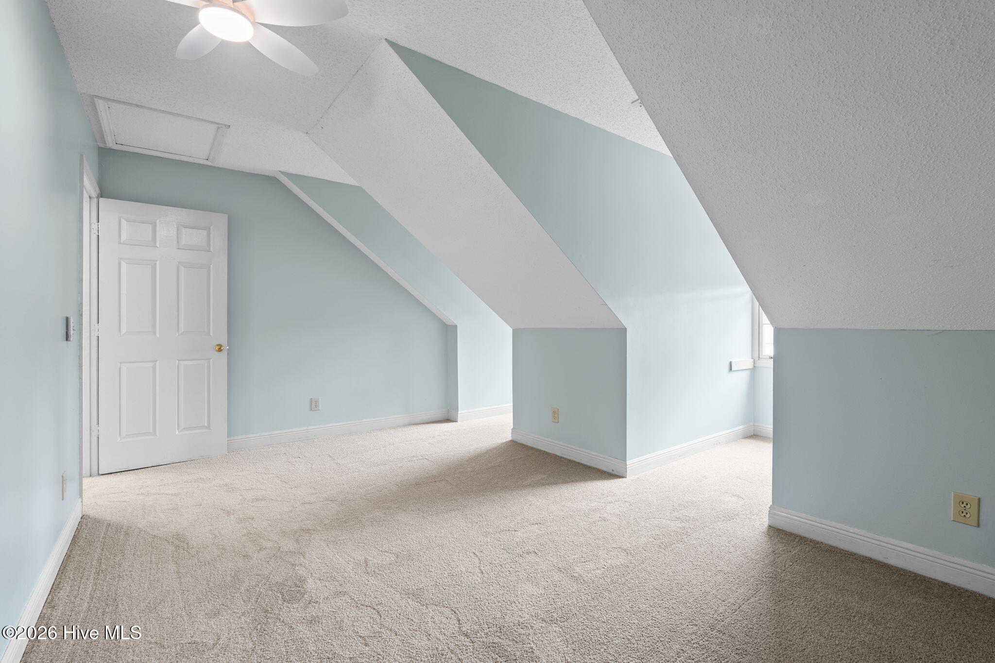 100564721 | Photo 42