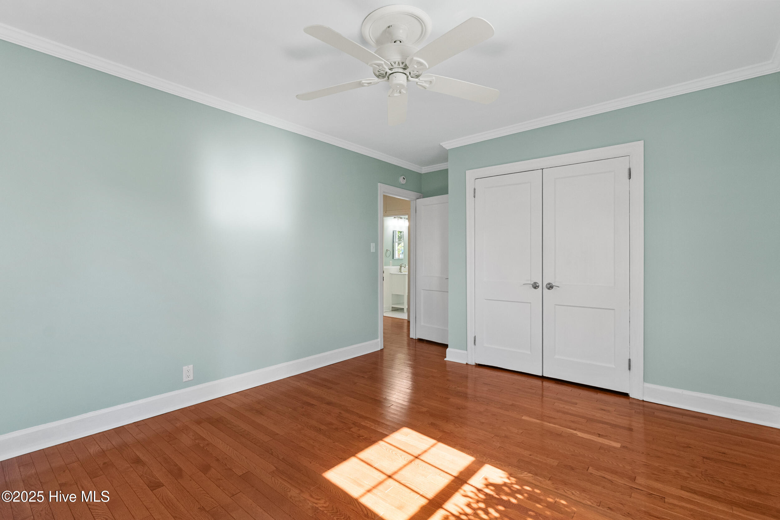 100538519 | Photo 15