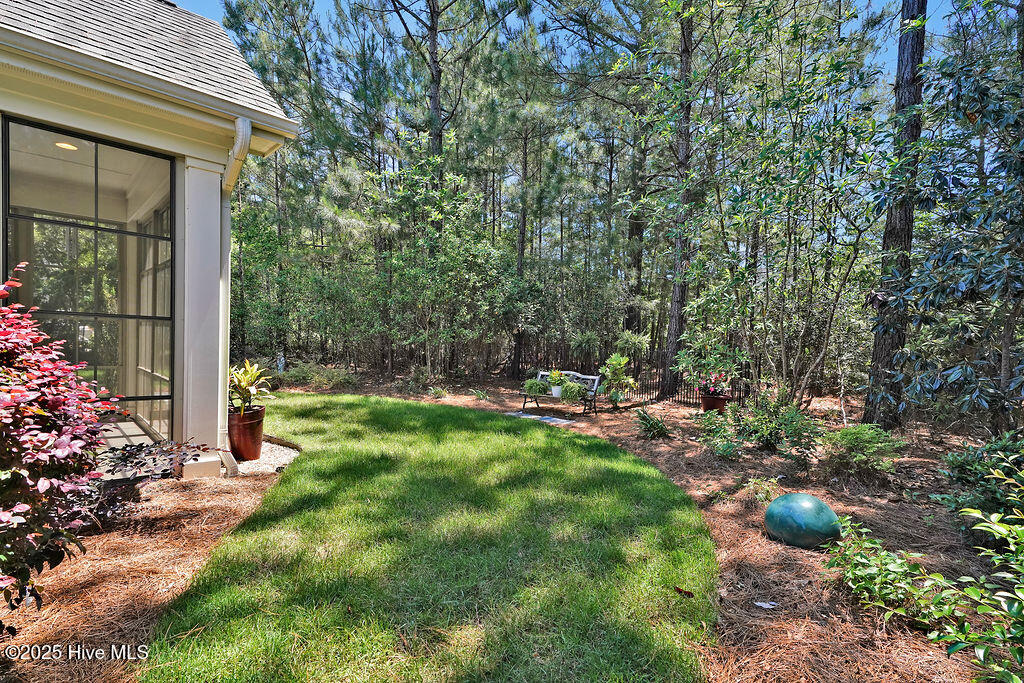 100527649 | Photo 46