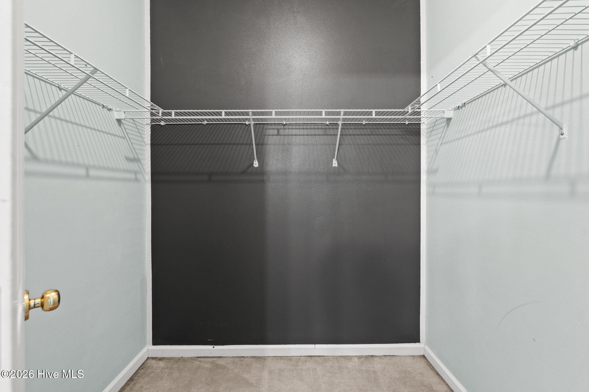 100569221 | Photo 24