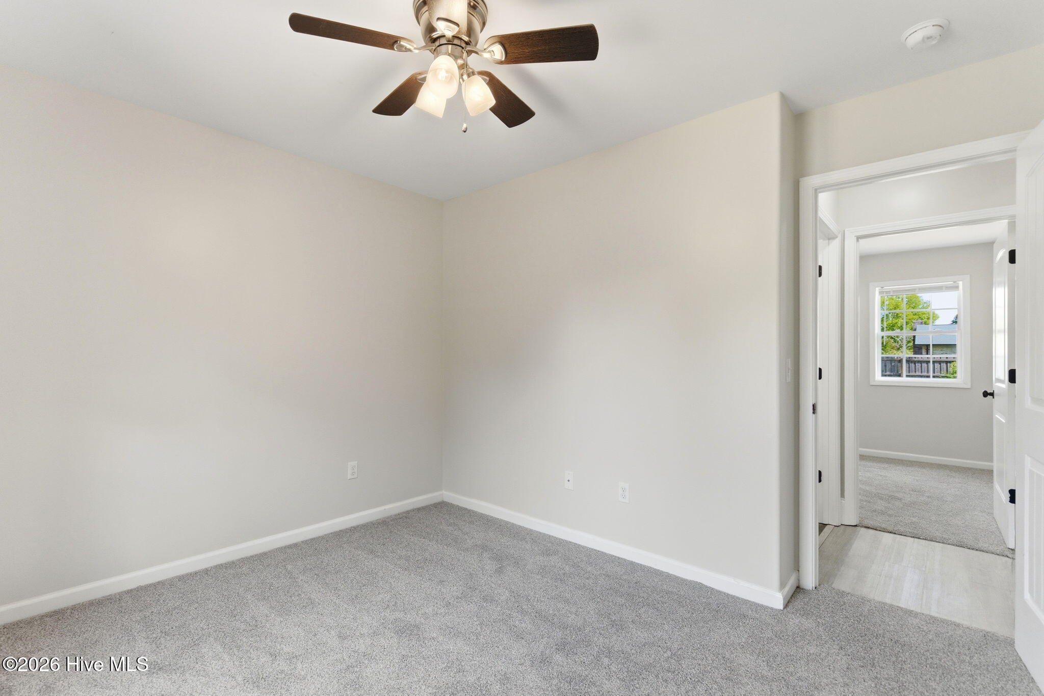 100570118 | Photo 26