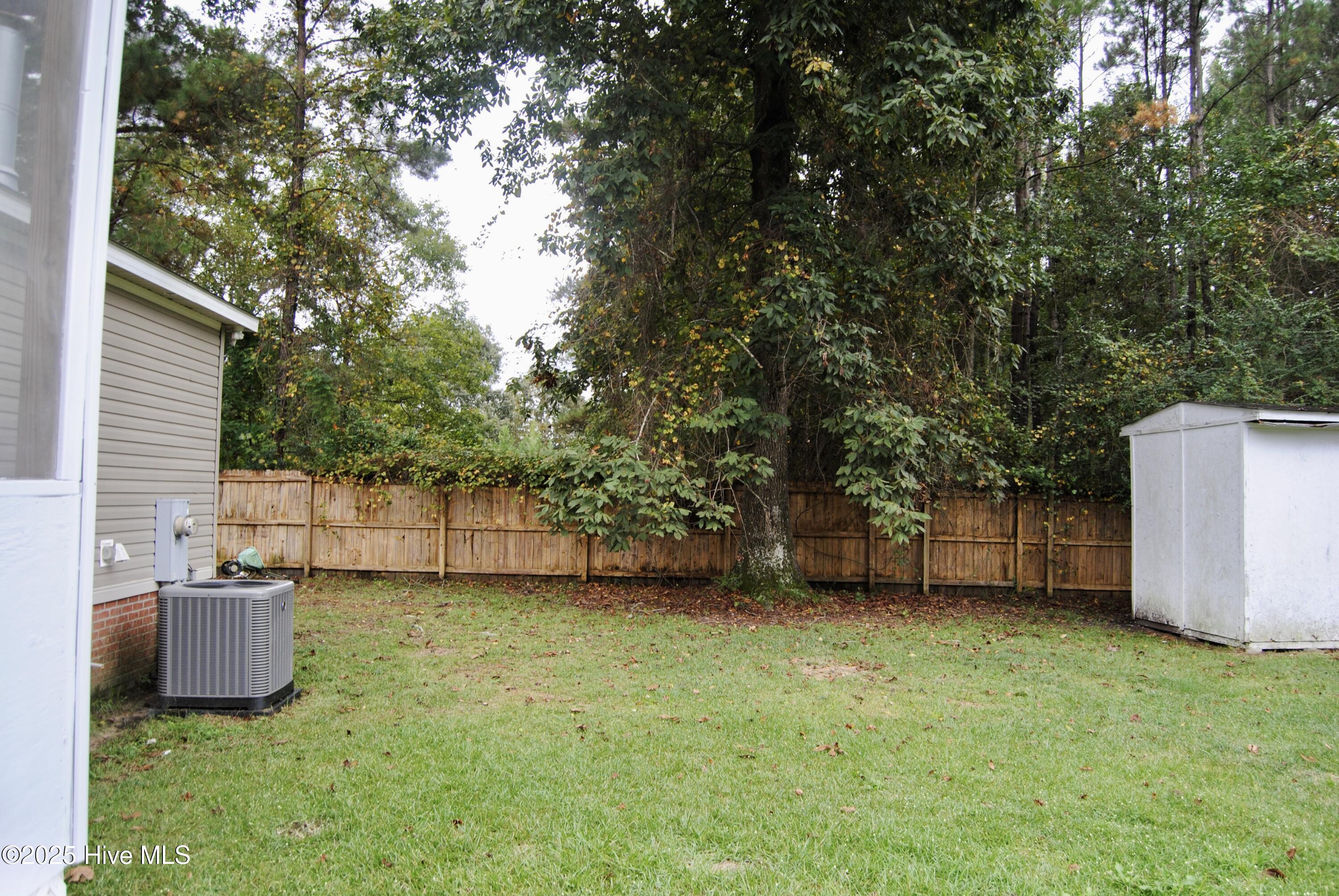 100533223 | Photo 11