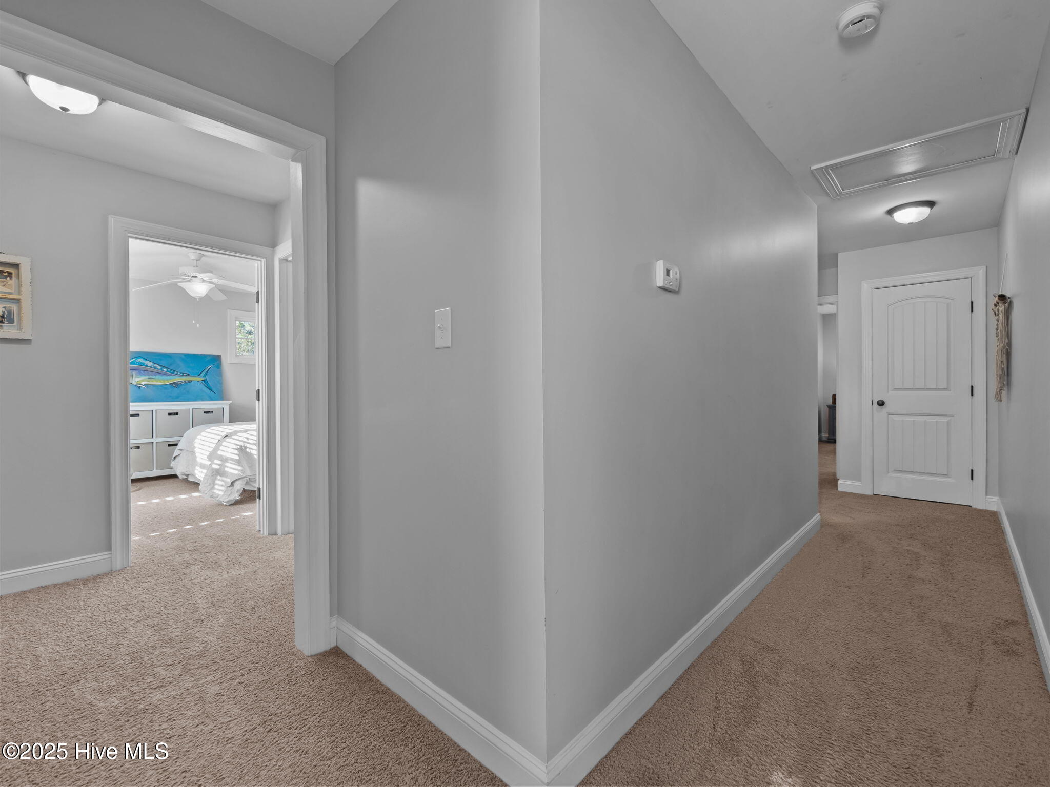 100546658 | Photo 33