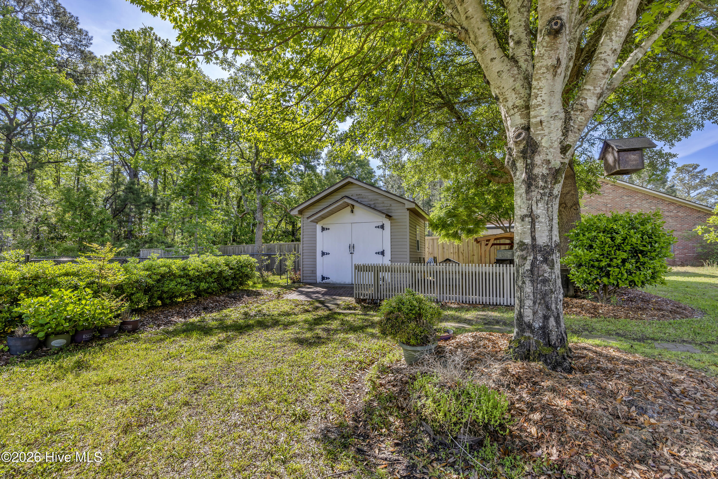 100567134 | Photo 13