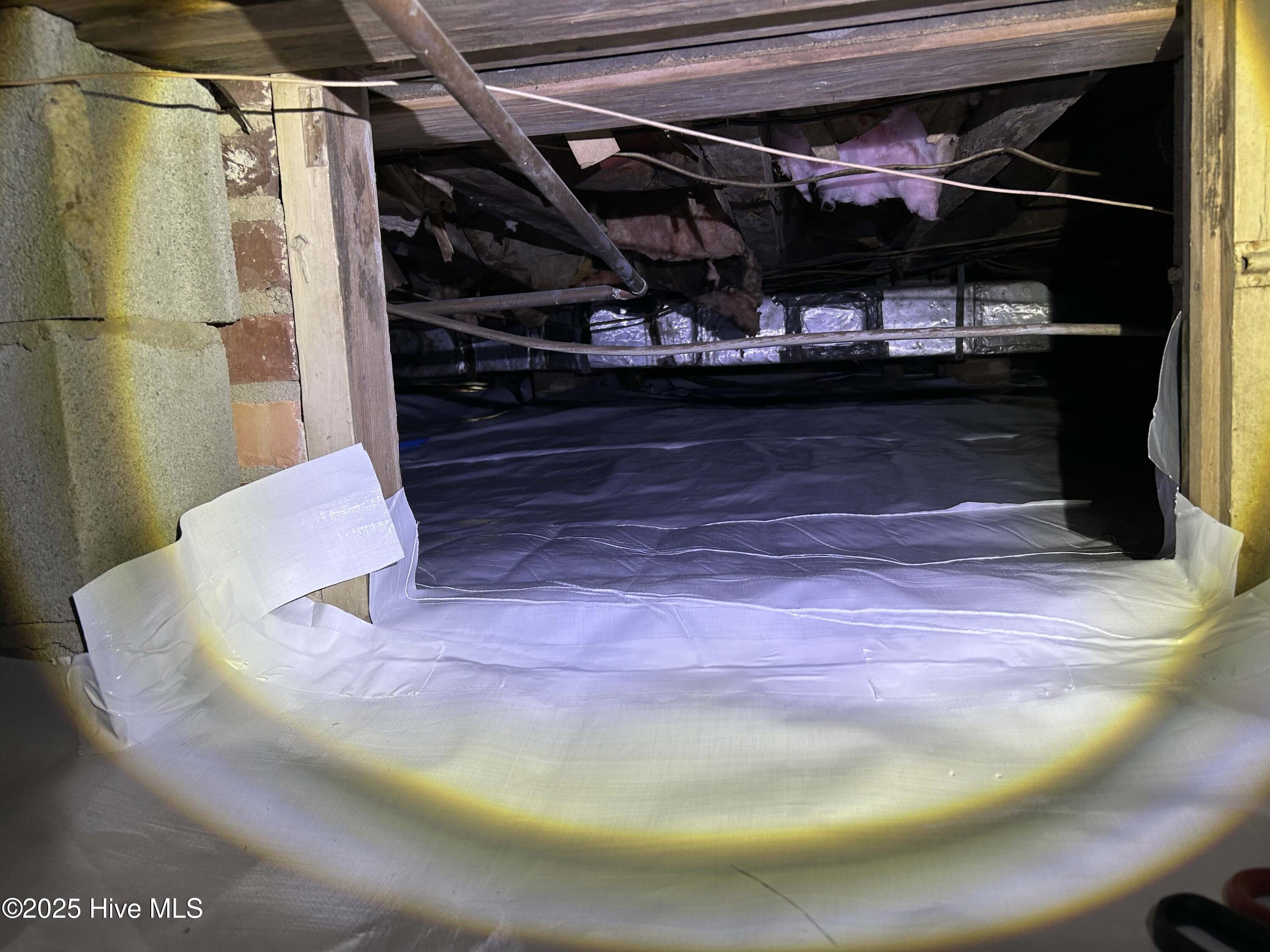 100505864 | Photo 55