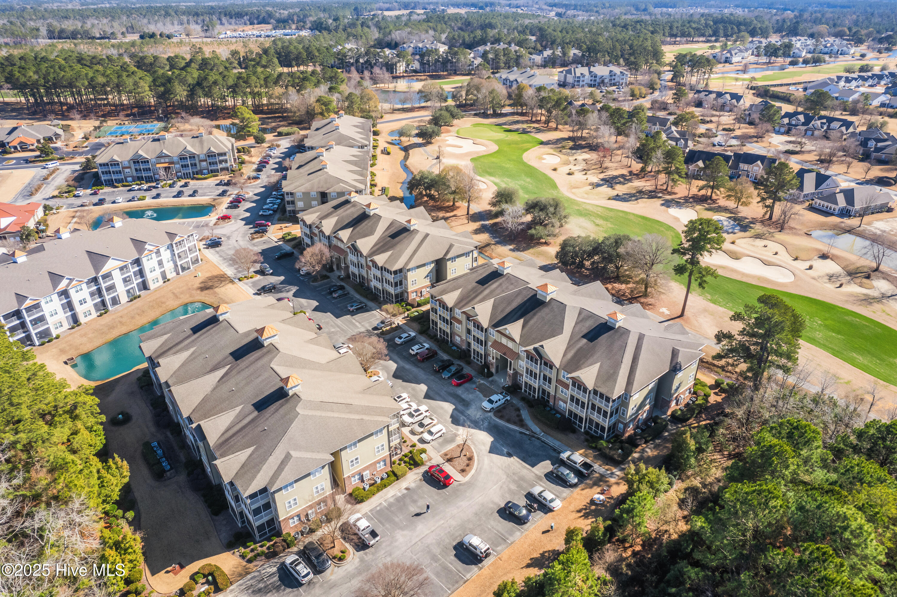 100484696 | Photo 30