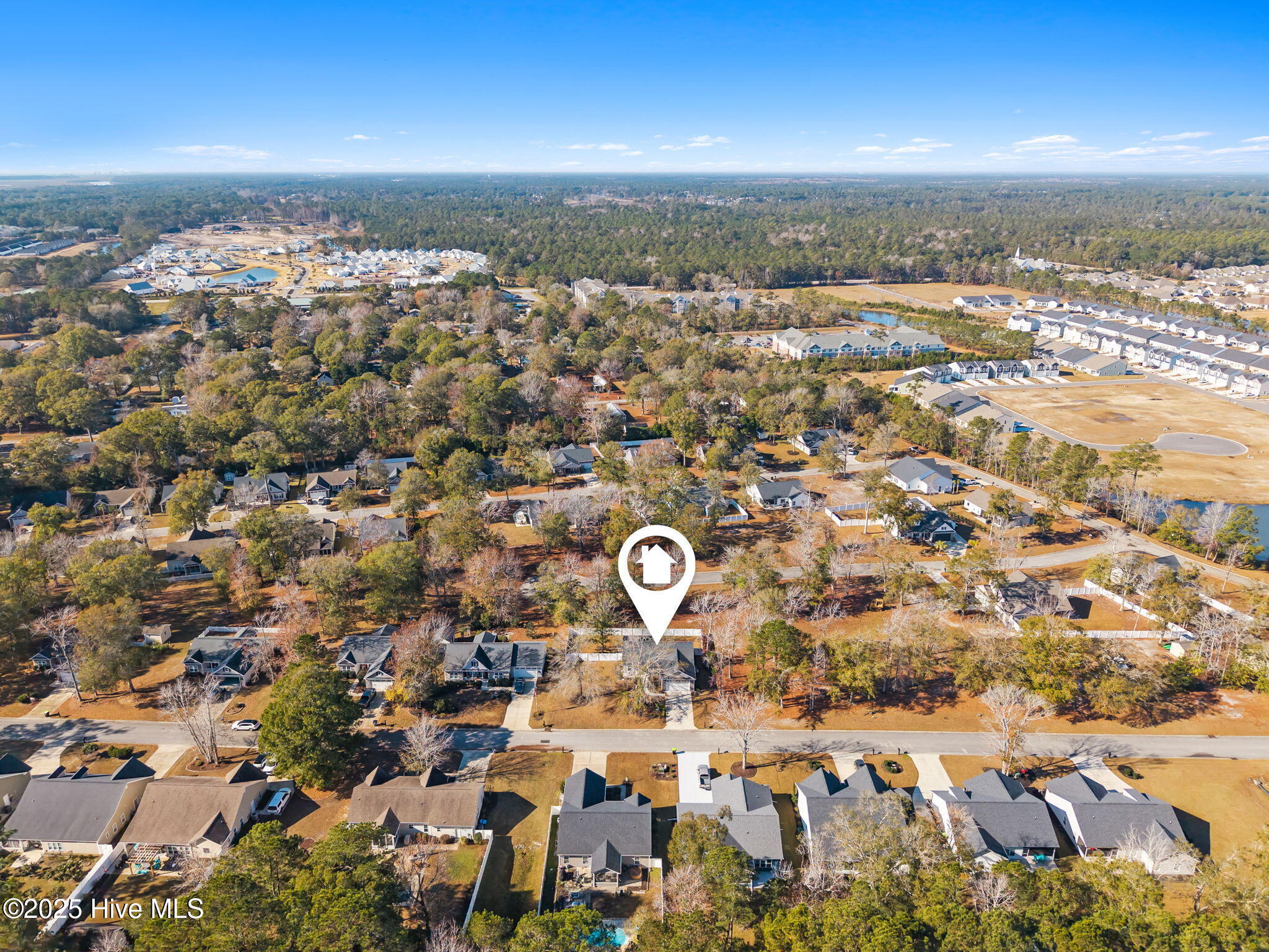 100544507 | Photo 44