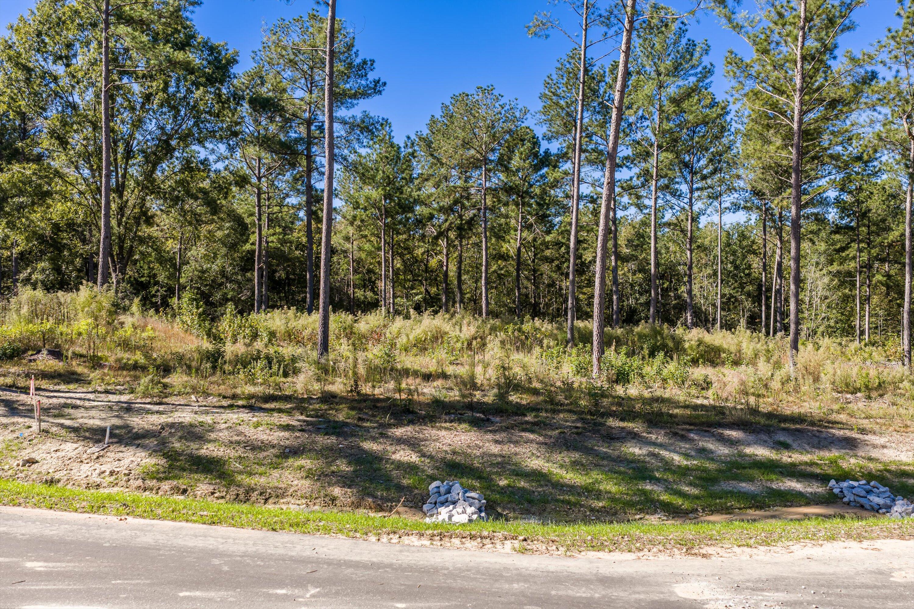 166 Beagle Chase Drive, Appling, GA, 30802