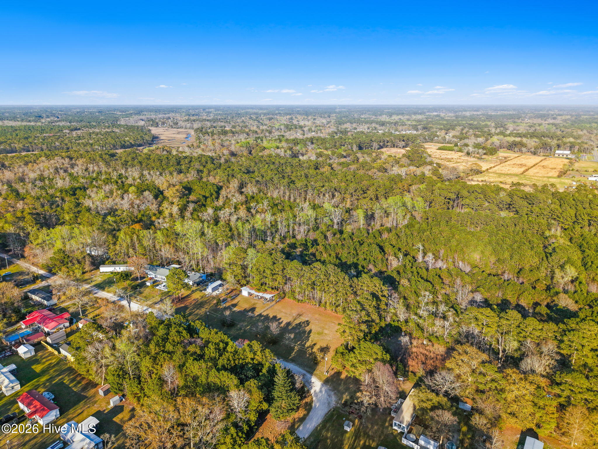 100565329 | Photo 14