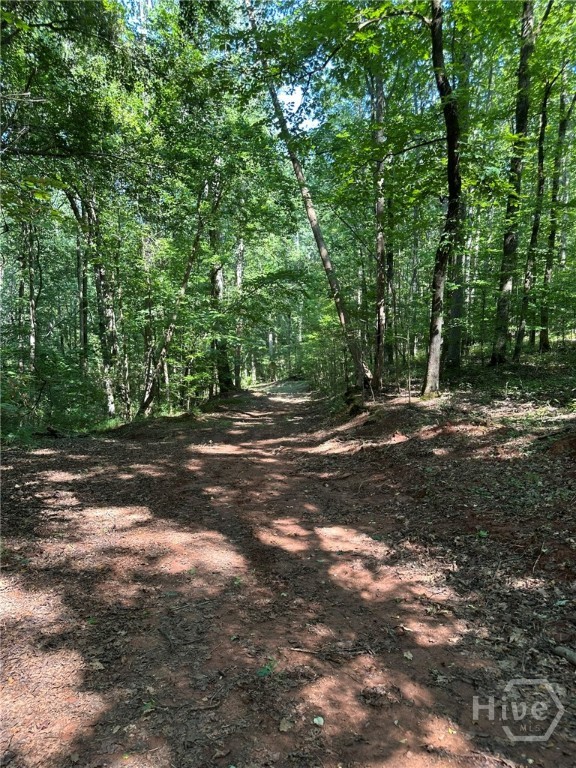 00 Fears, Madison, GA, 30650