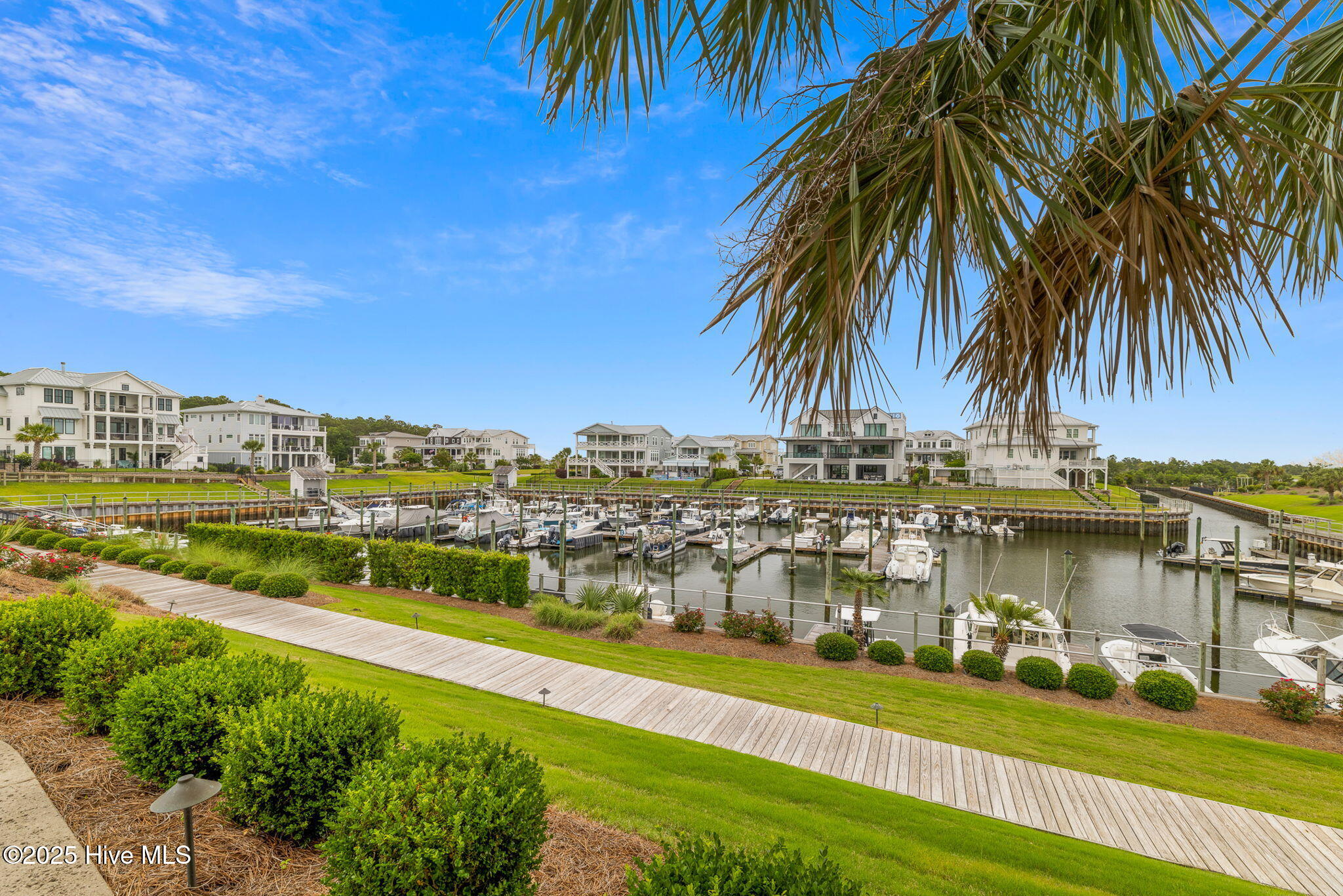 100508421 | Photo 83